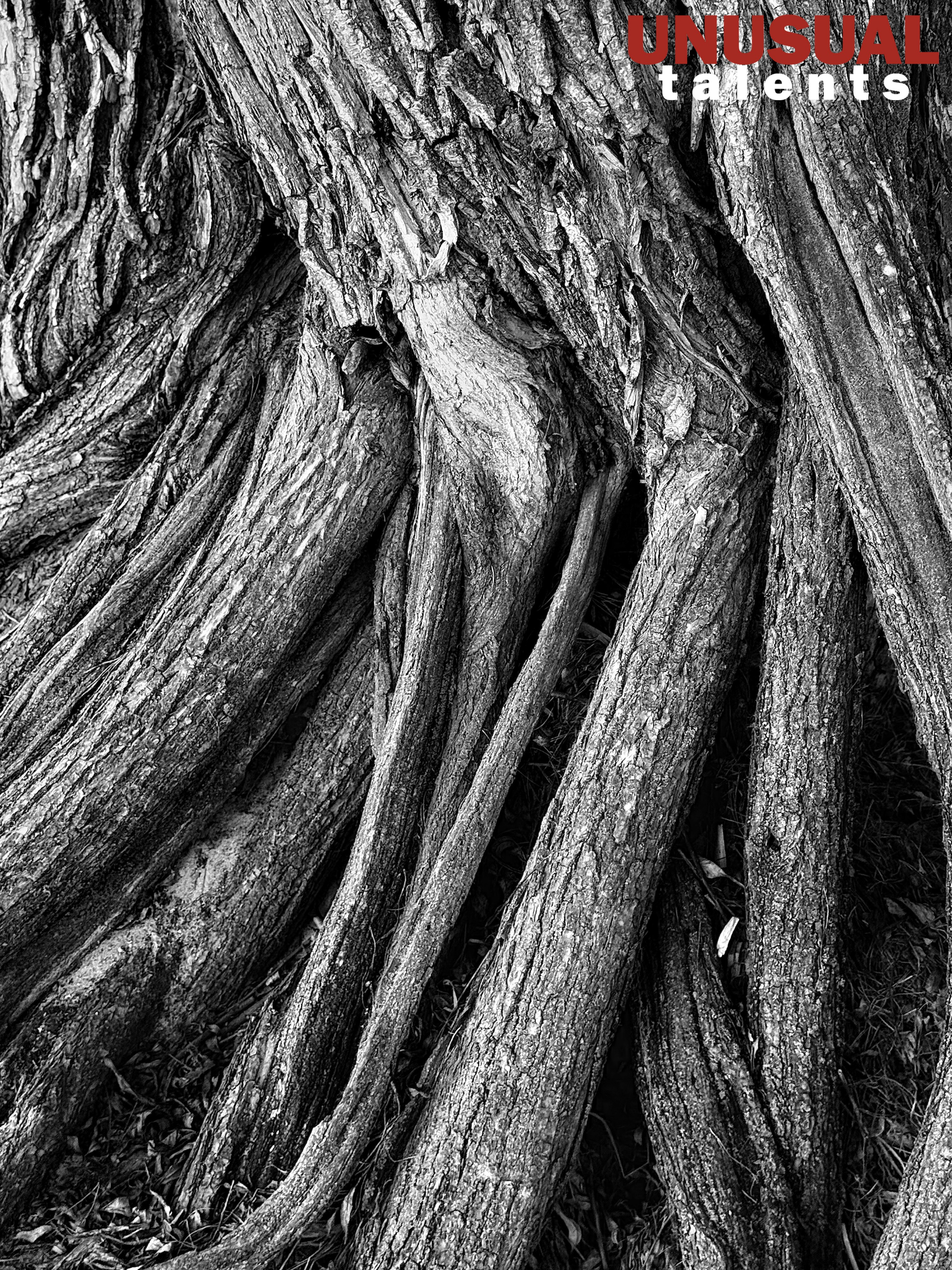 Radika Baglai. UNUSUAL TALENT magazine