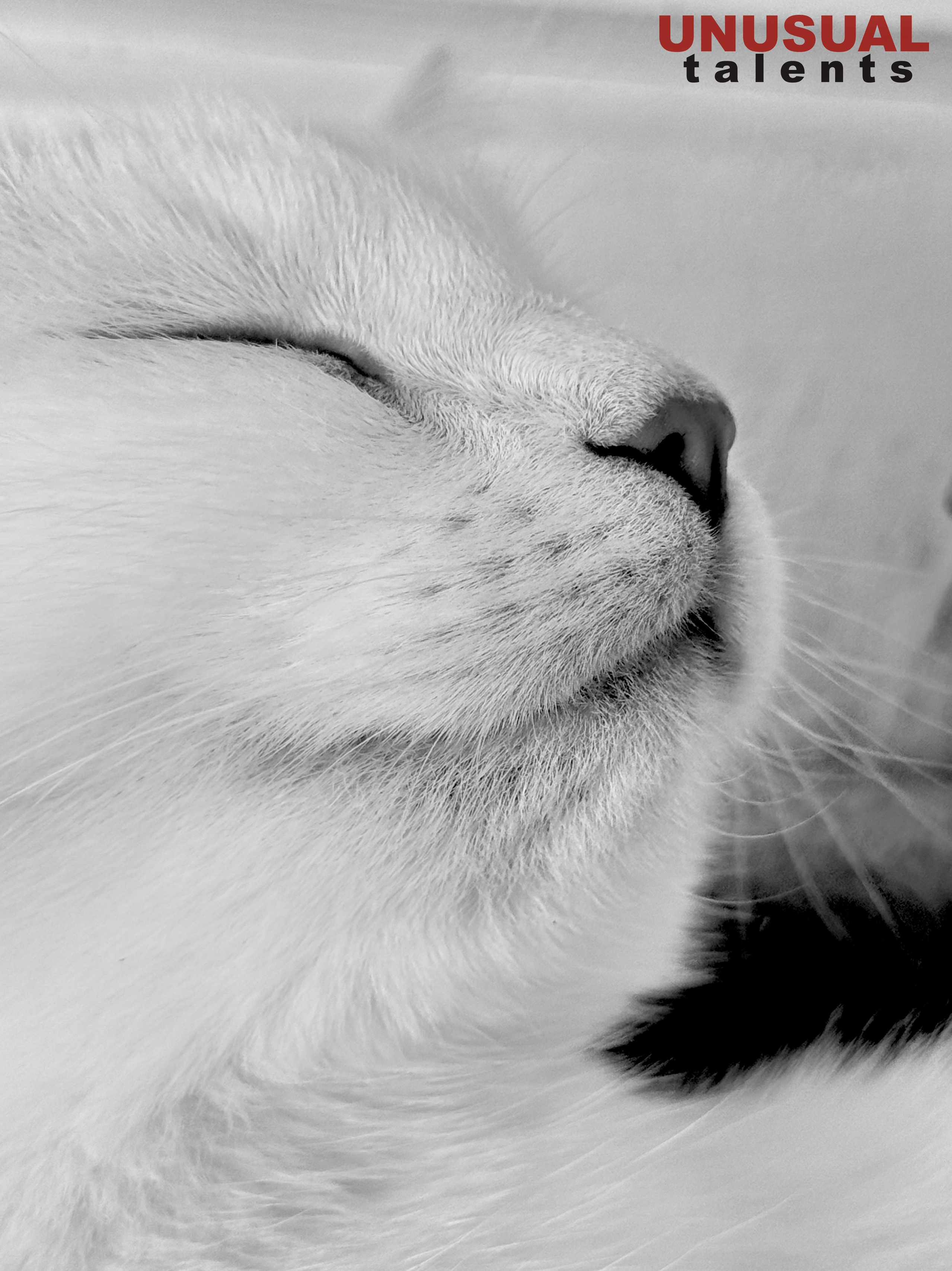 Radika Baglai. UNUSUAL TALENT magazine