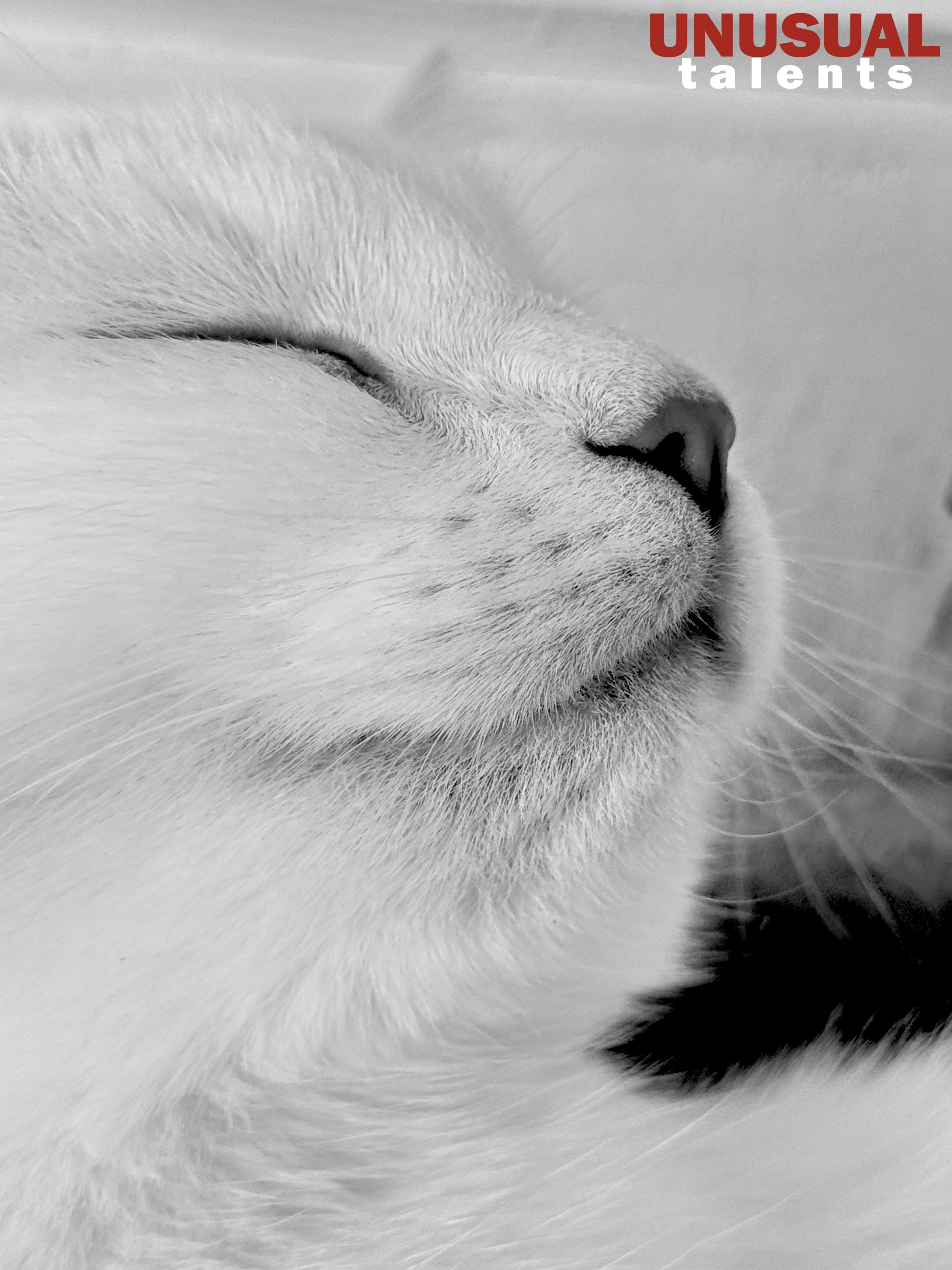 March 2026. UNUSUAL TALENT magazine