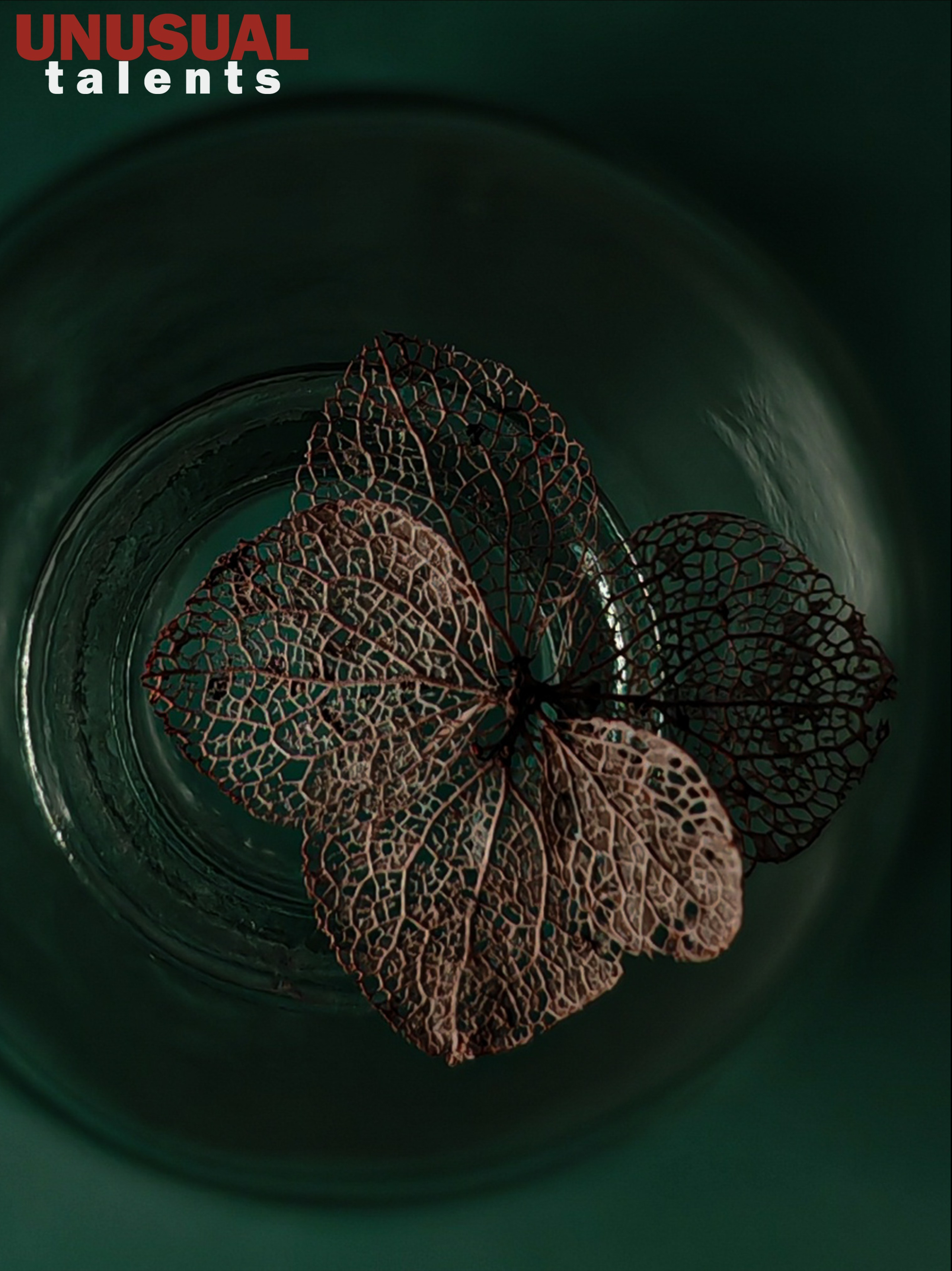 Maria Stankevich. UNUSUAL TALENT magazine