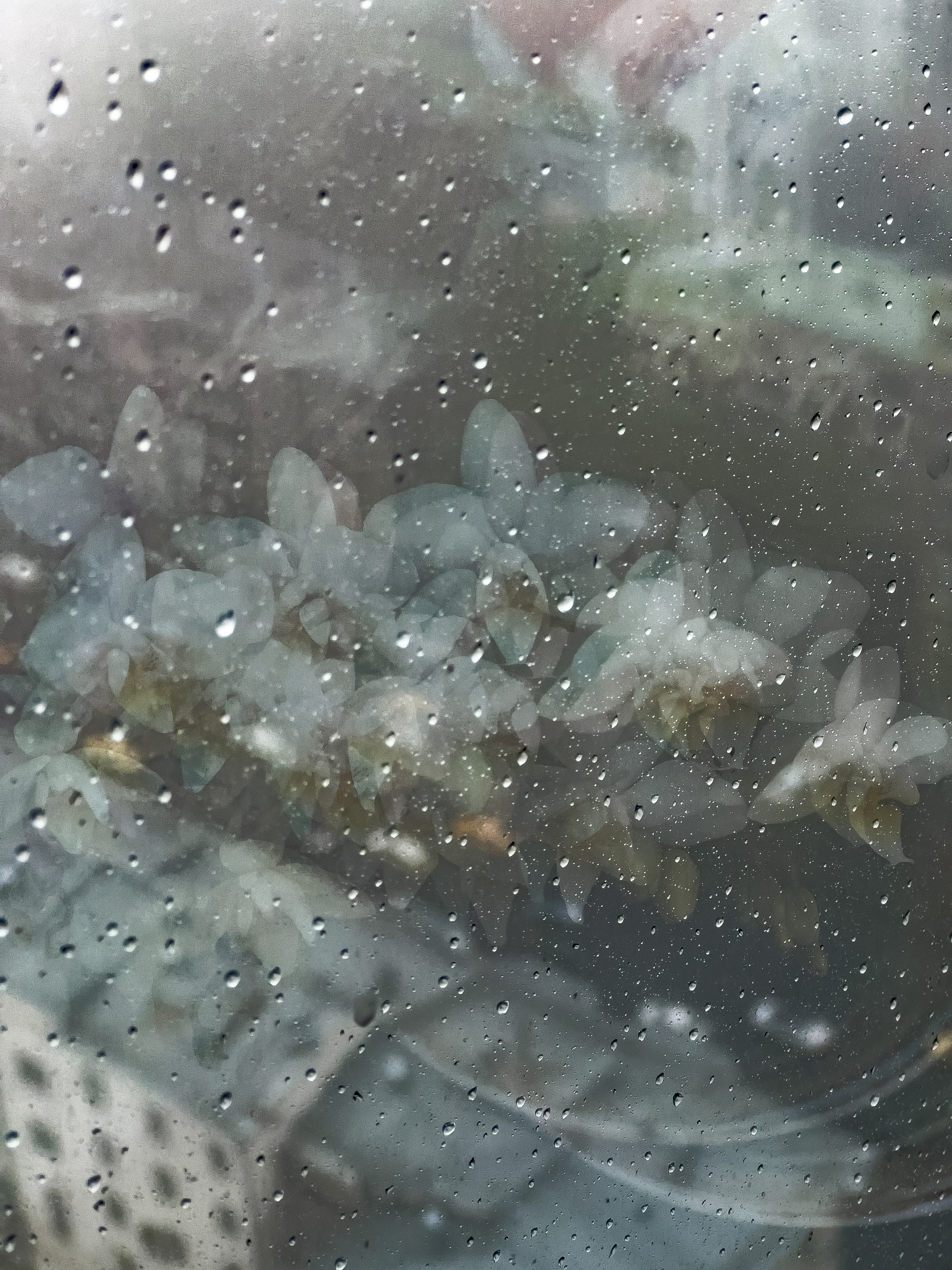 Тихонова Анастасия. ARTEXPOPHOTO