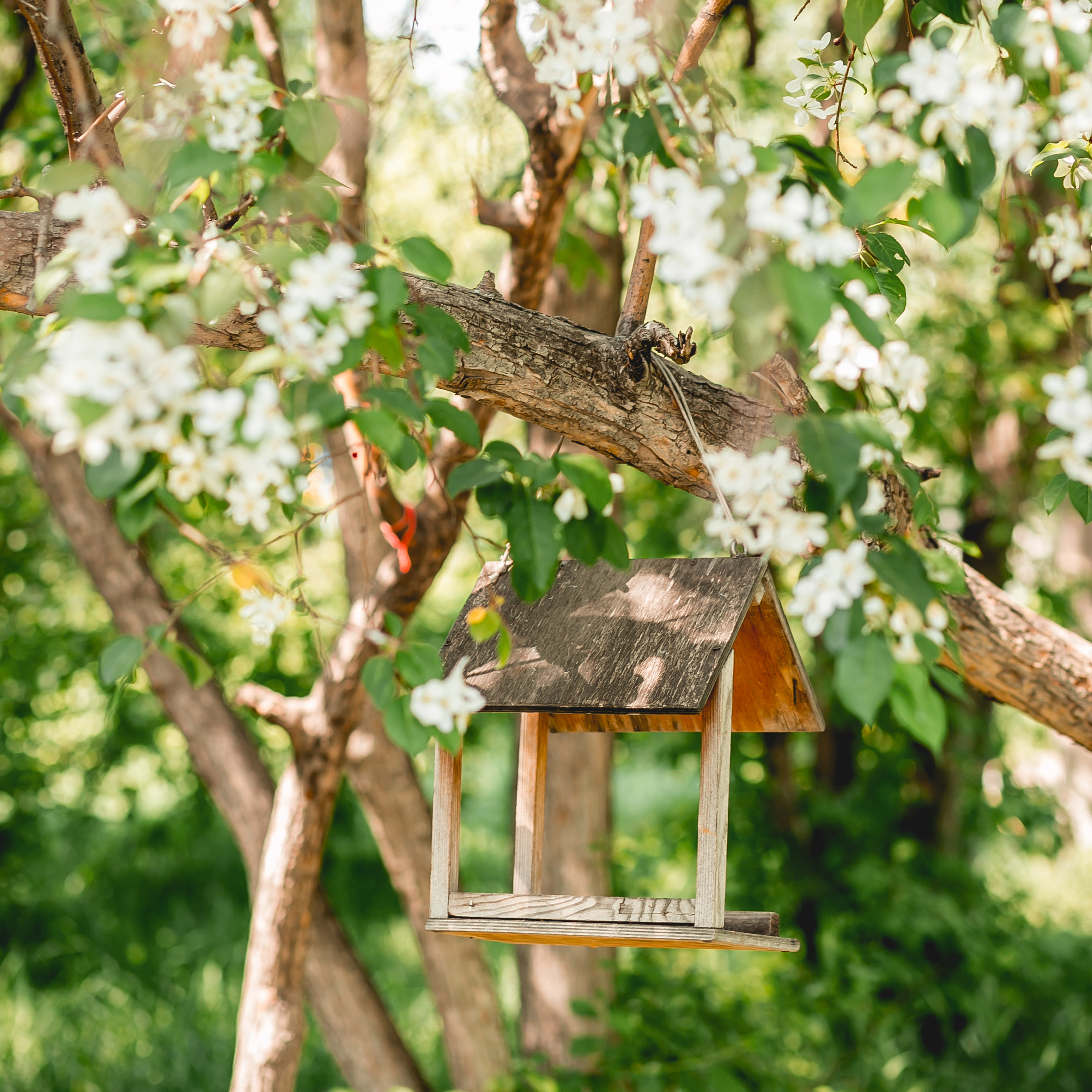 Прайс. Фотограф в  г. Новосибирск