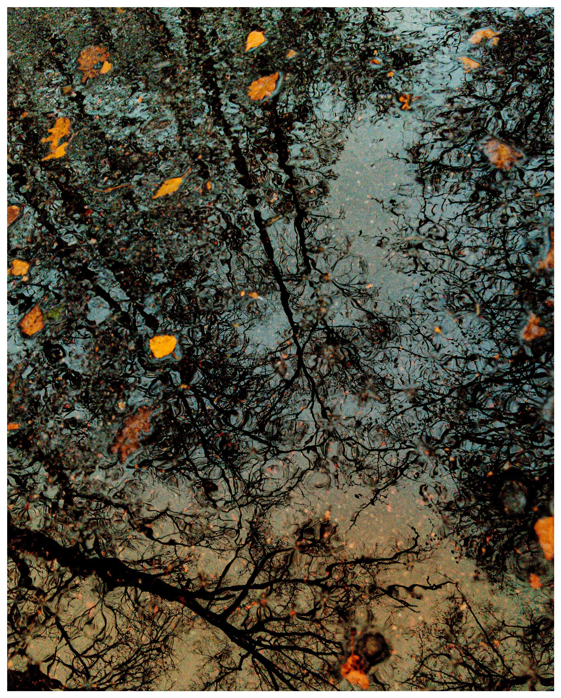 Купить постер (1). Репортажный и портретный фотограф, Влад Хафизов, Москва