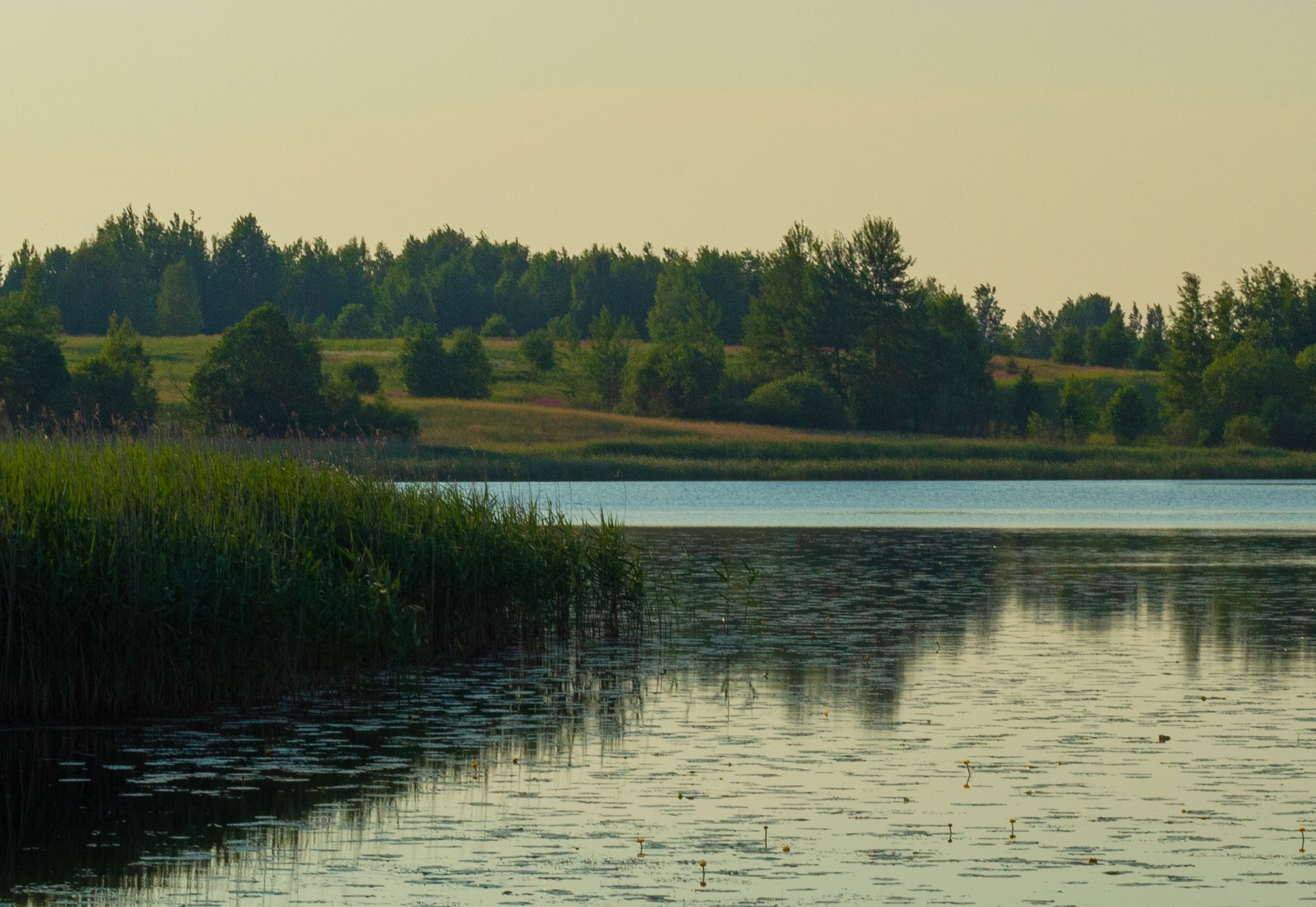 Летняя съёмка в Вышнем Волочке