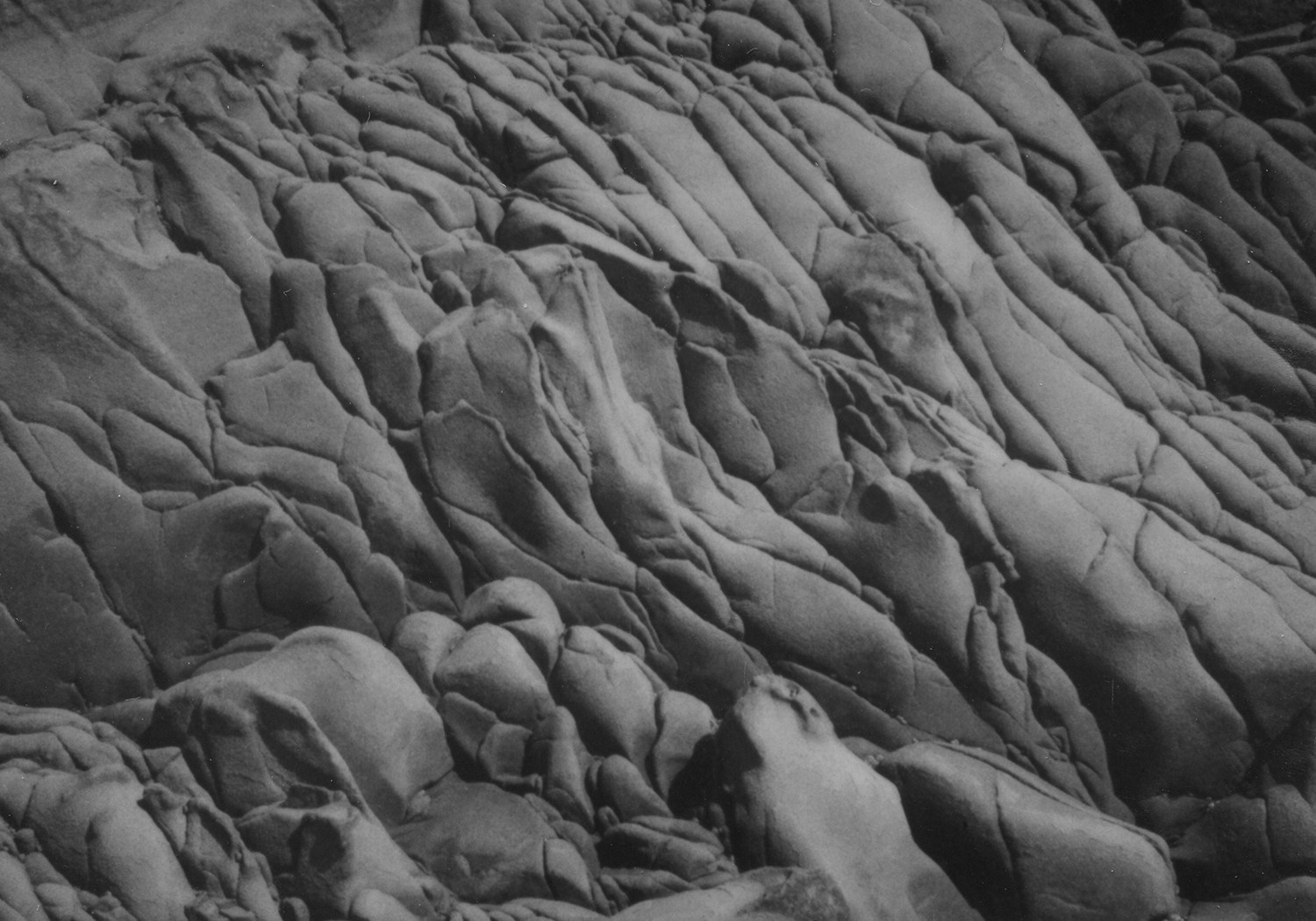 Таня Щербинина «Strange landscapes». Самоорганизация Низина