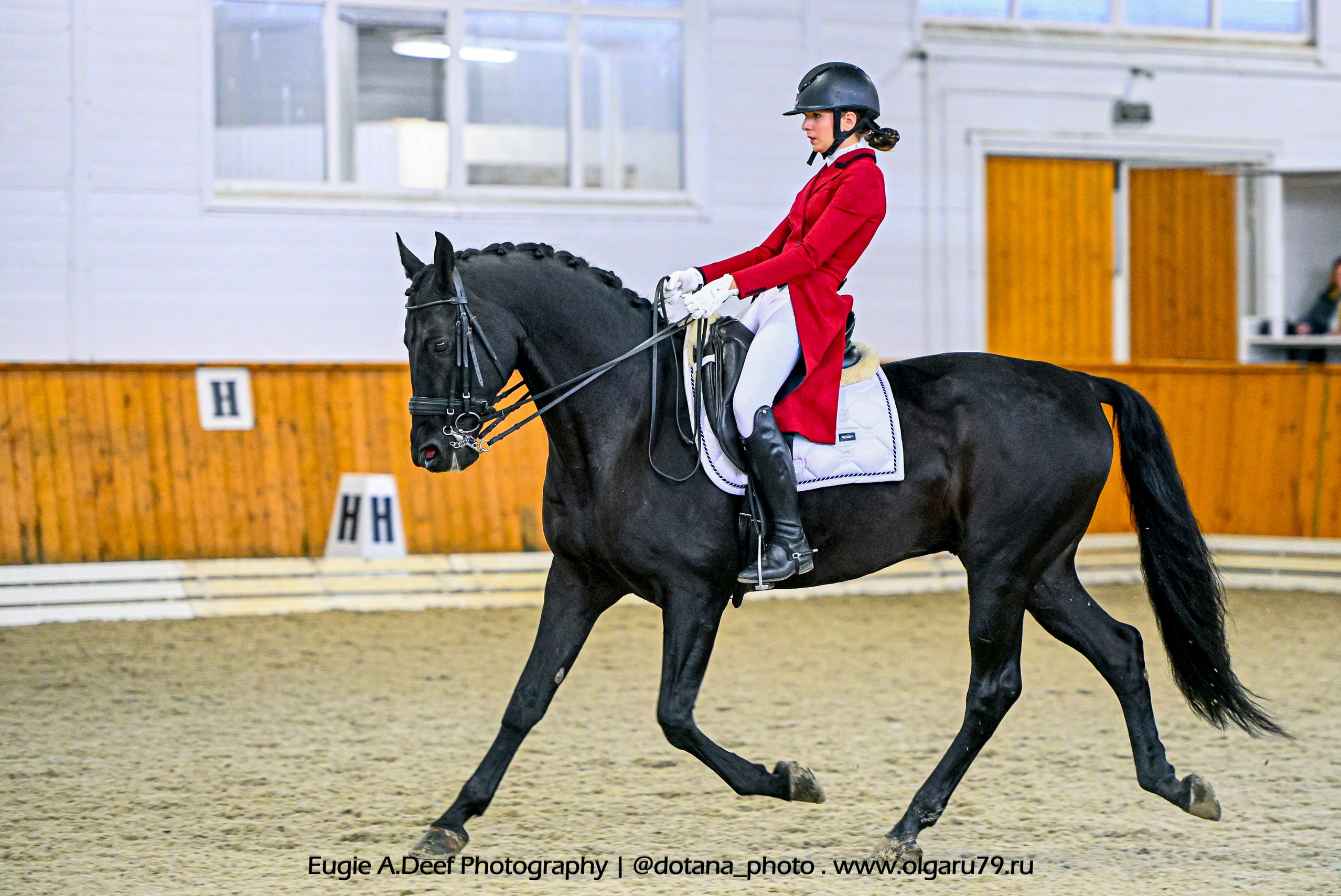 2025.10.19 — КСК Конкорд — выездка. ТУРНИРНАЯ КОННАЯ ФОТОГРАФИЯ, Руднева Ольга и Евгений Адеев