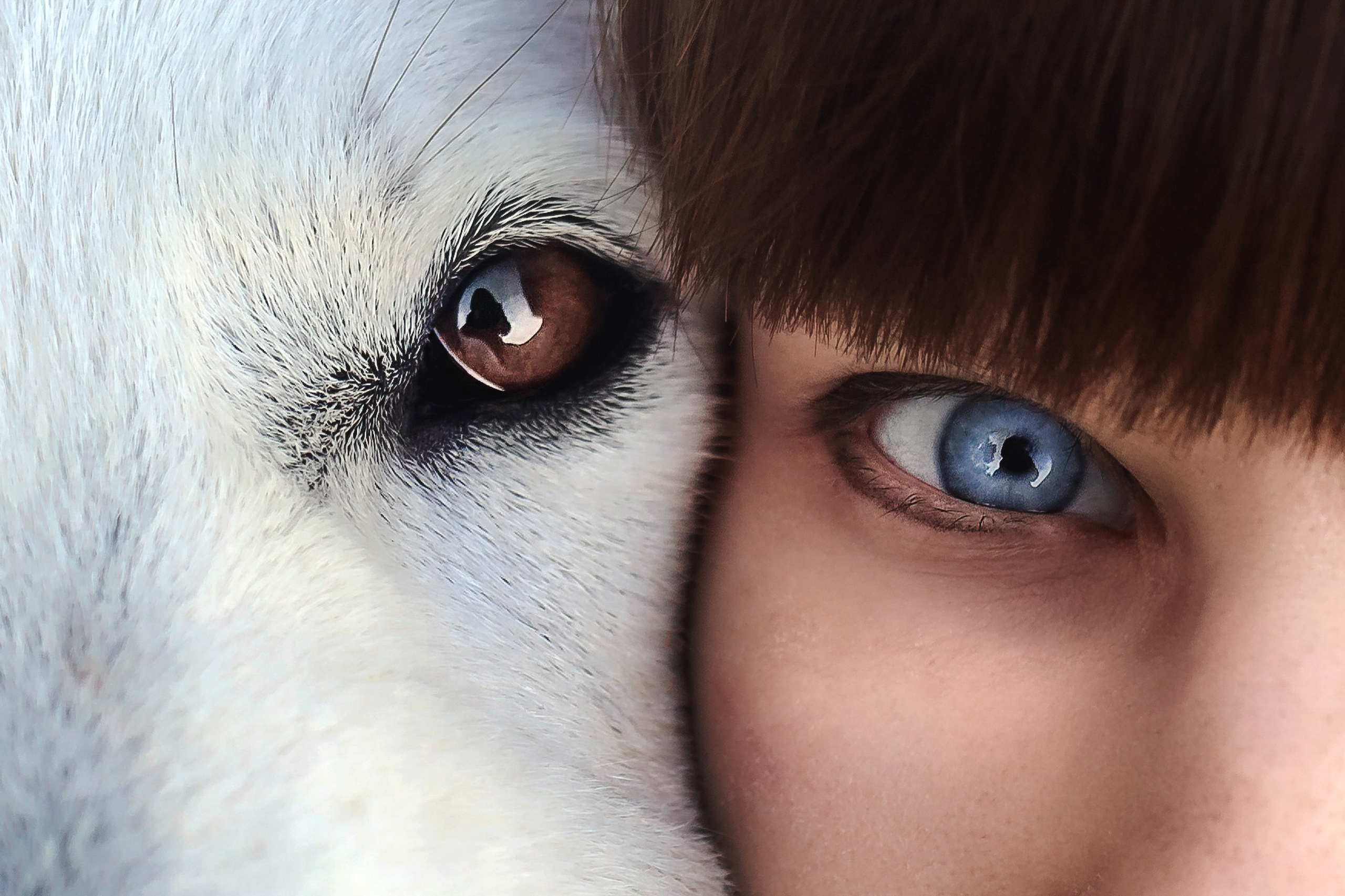 ГРИП и как создать красивое размытие фона