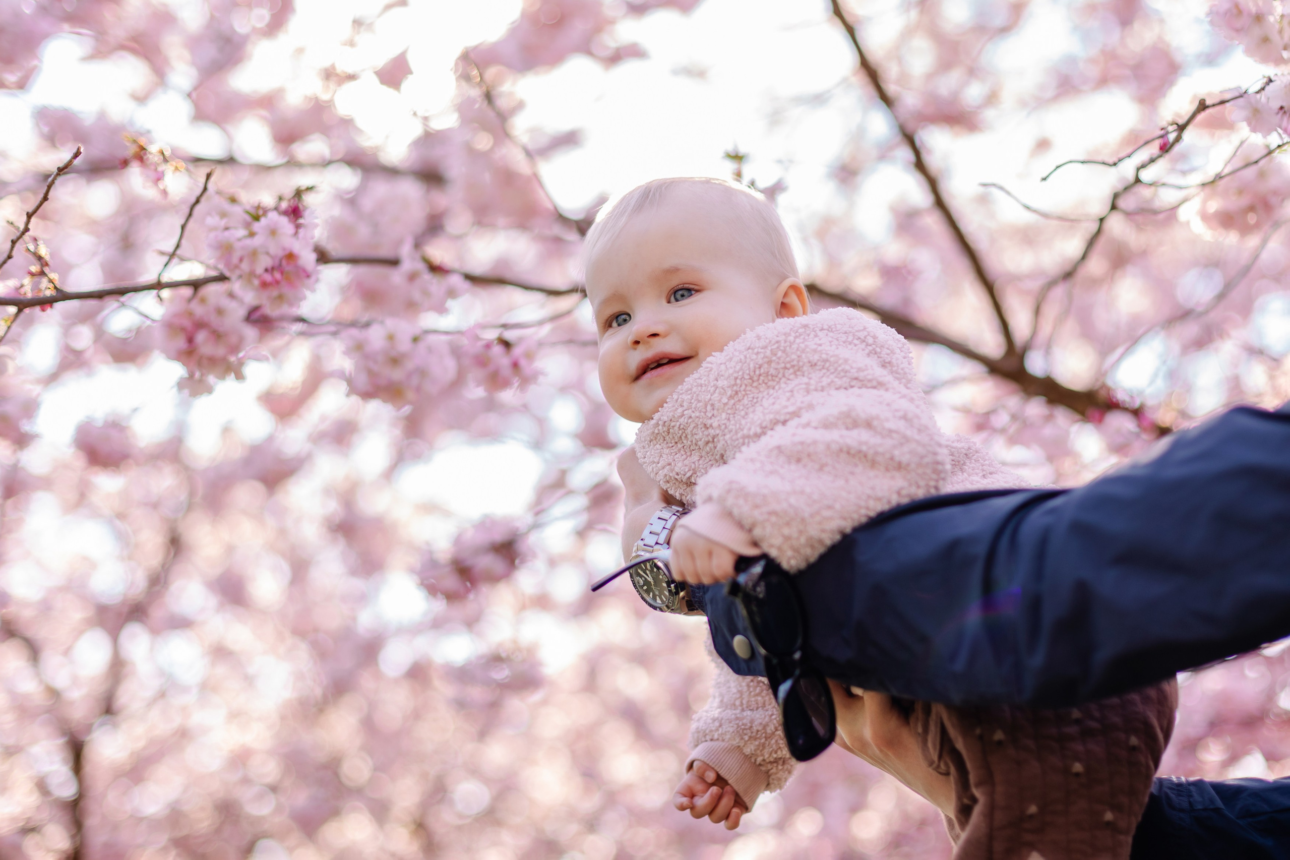 Orte für Fotoshootings in München. Kirschblüte in München. Frühling in München. Familienfotograf München. Fotografin in München Dasha Antipina