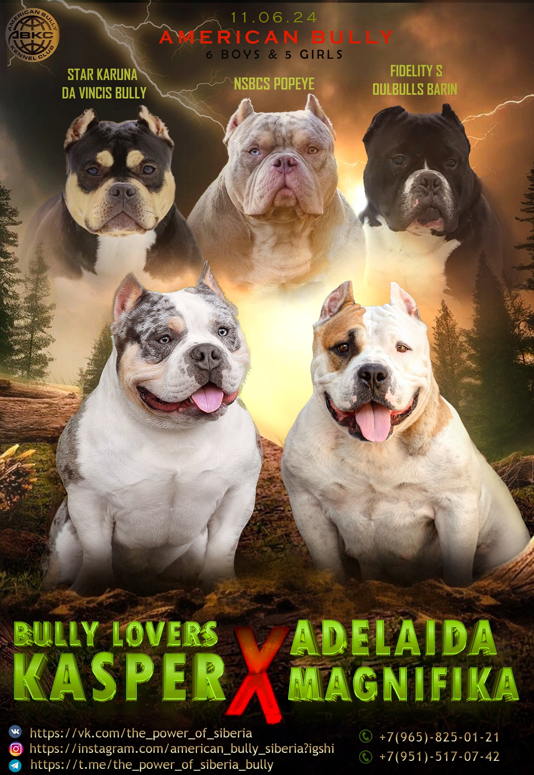 Страница Каспера. Американский Булли в г. Ростов-на-Дону. Питомник THE POWER OF SIBERIA