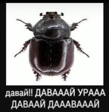 Контакты. Портретный фотограф Москва Гася Гилязова