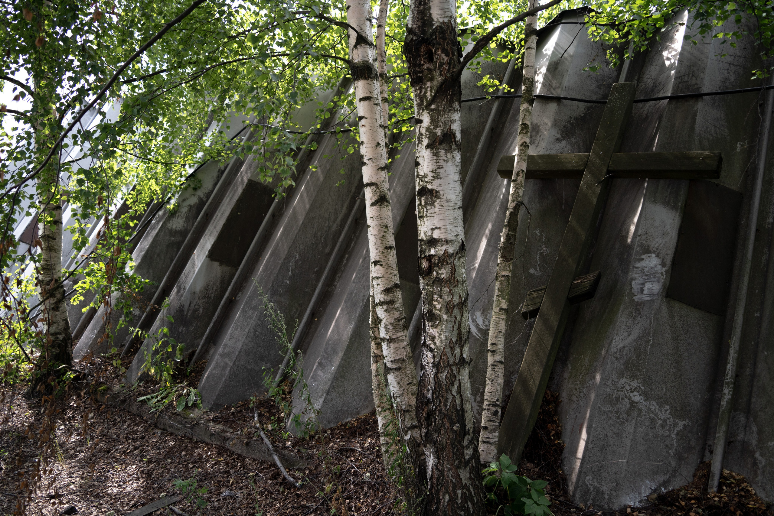Ленинградский яхт-клуб. Pasha Borisenko
