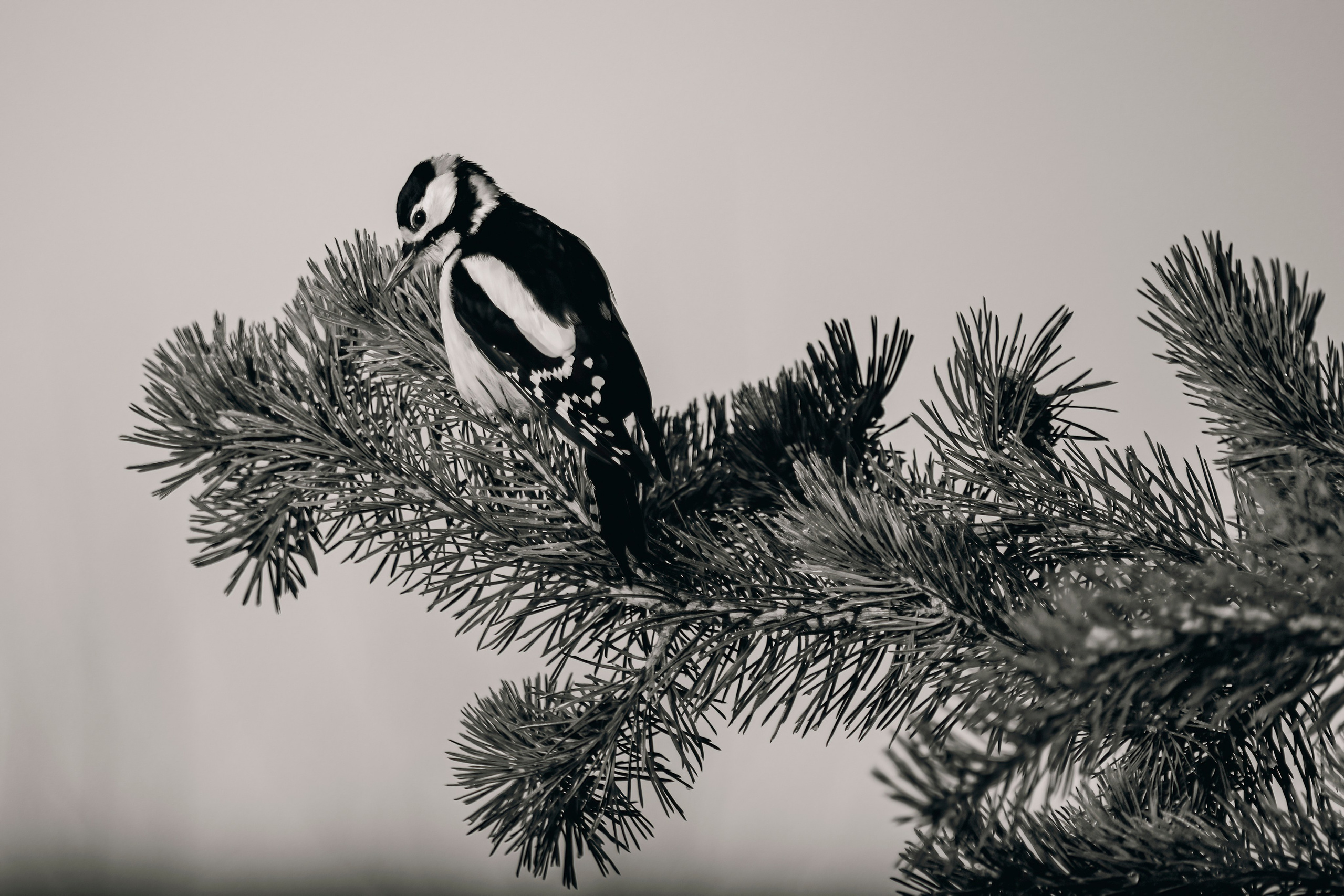 Фотографии Лены Соколовой