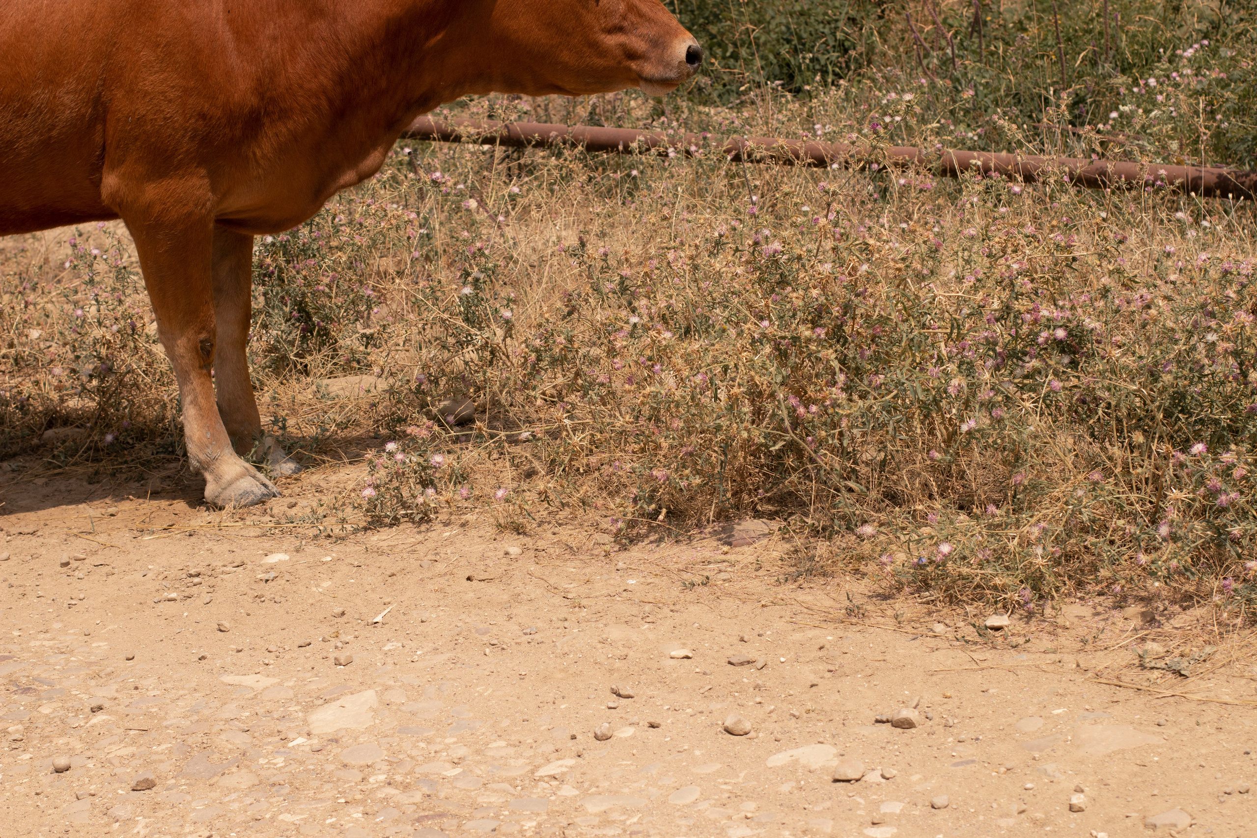 Замечаю жизнь. 2022. Фотограф Злата Спицына