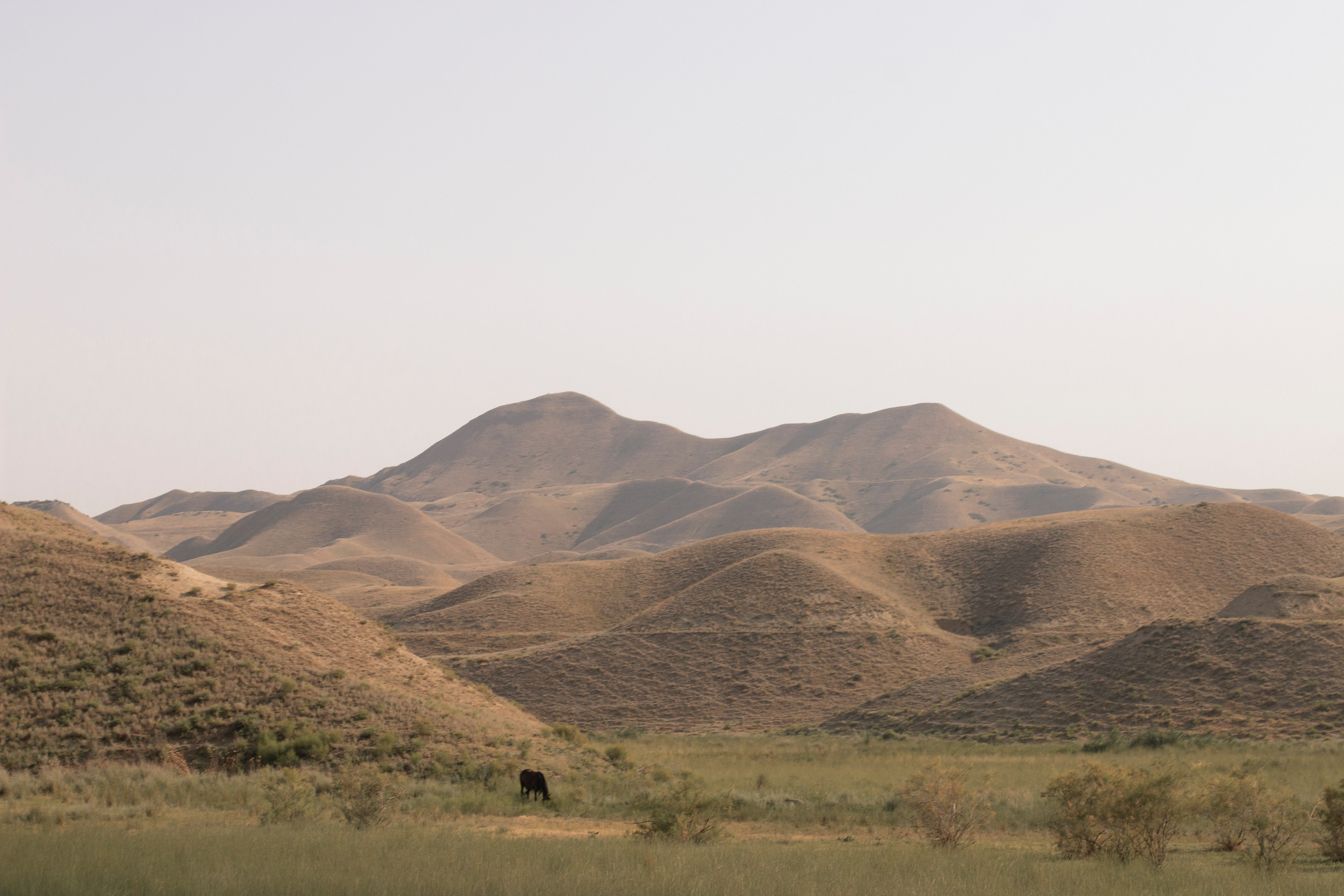 Замечаю жизнь. 2022. Фотограф Злата Спицына