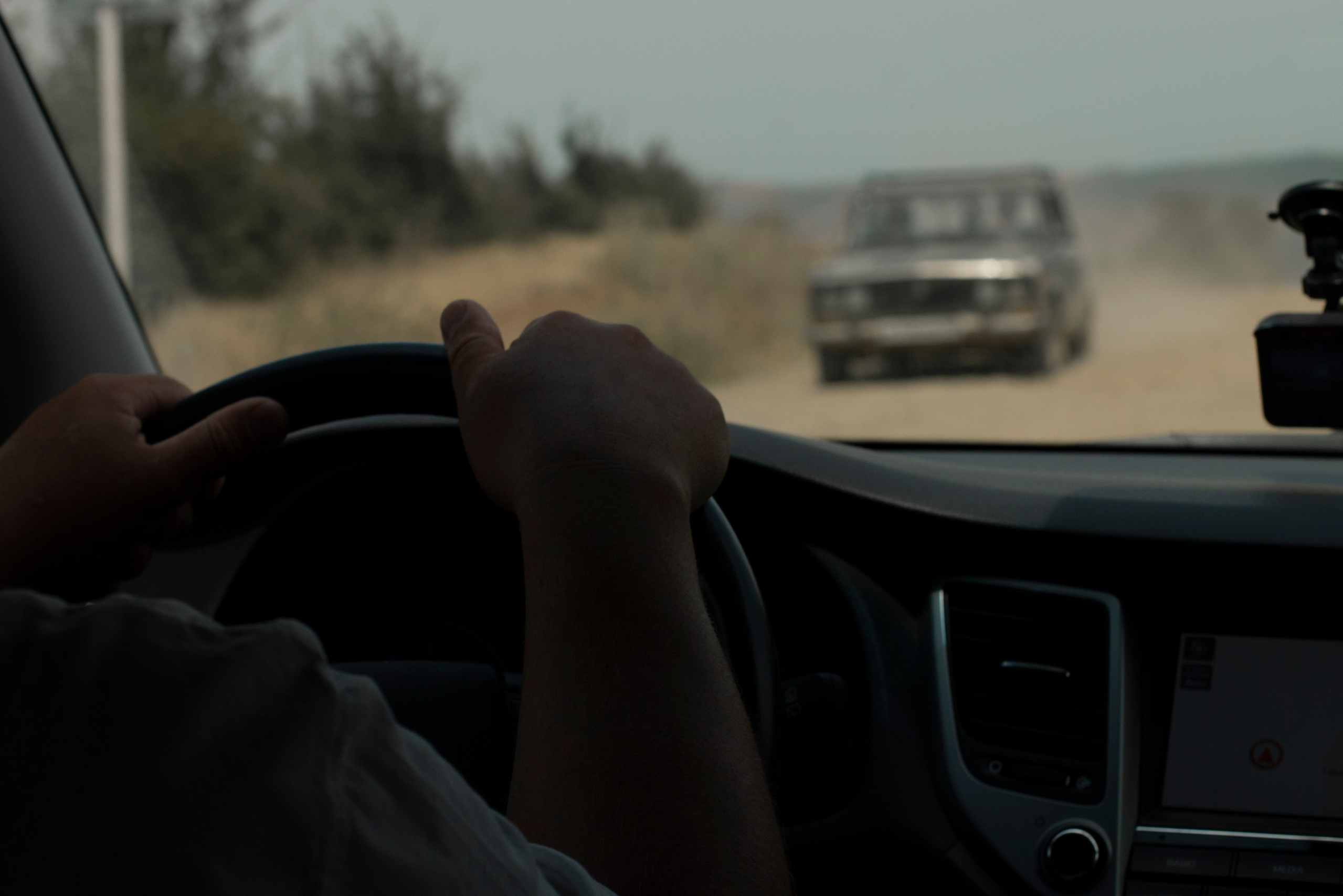 Замечаю жизнь. 2022. Фотограф Злата Спицына