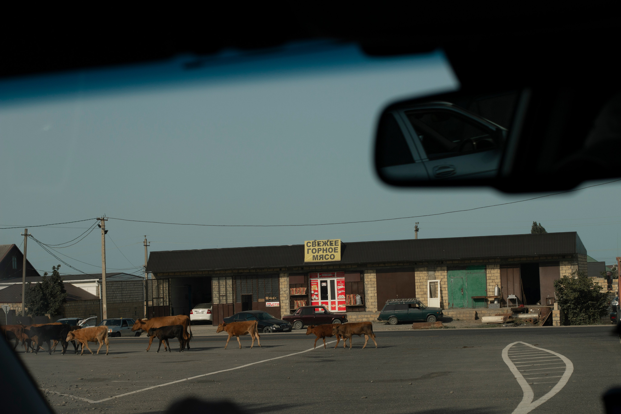 Замечаю жизнь. 2022. Фотограф Злата Спицына