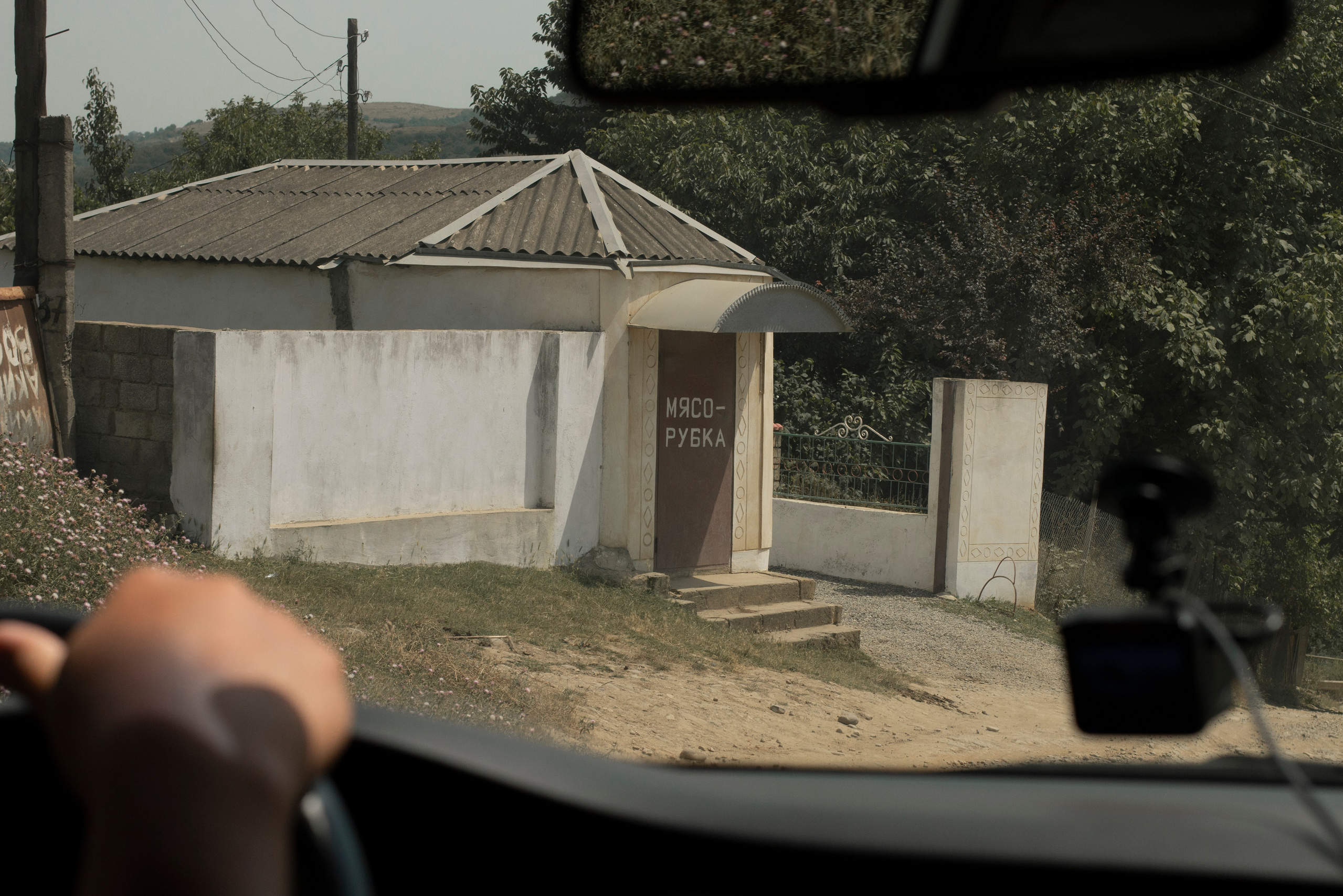 Замечаю жизнь. 2022. Фотограф Злата Спицына