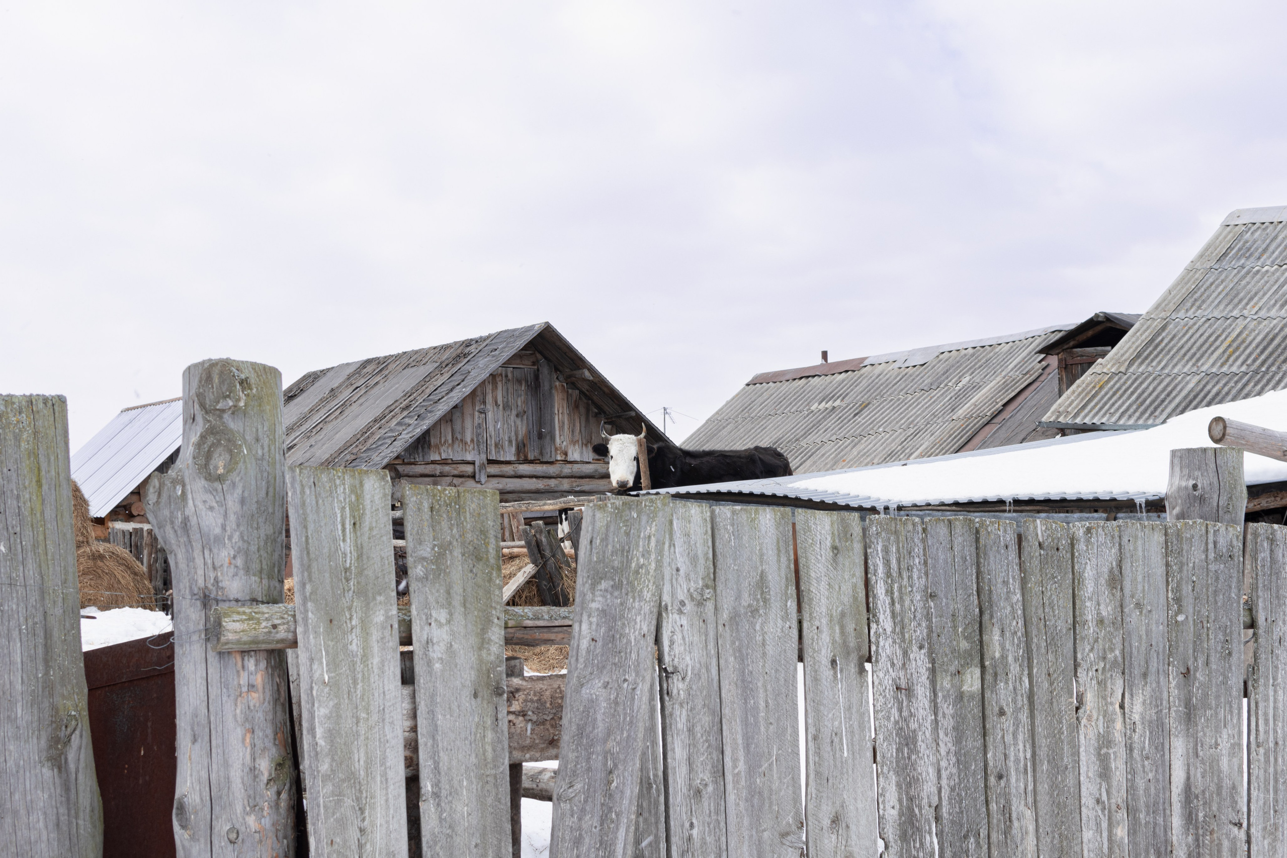 Здесь песни больше не слышны. Katya Medvedeva