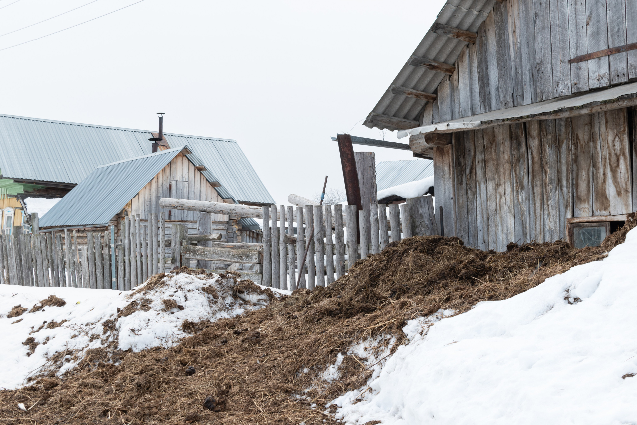 Здесь песни больше не слышны. Katya Medvedeva