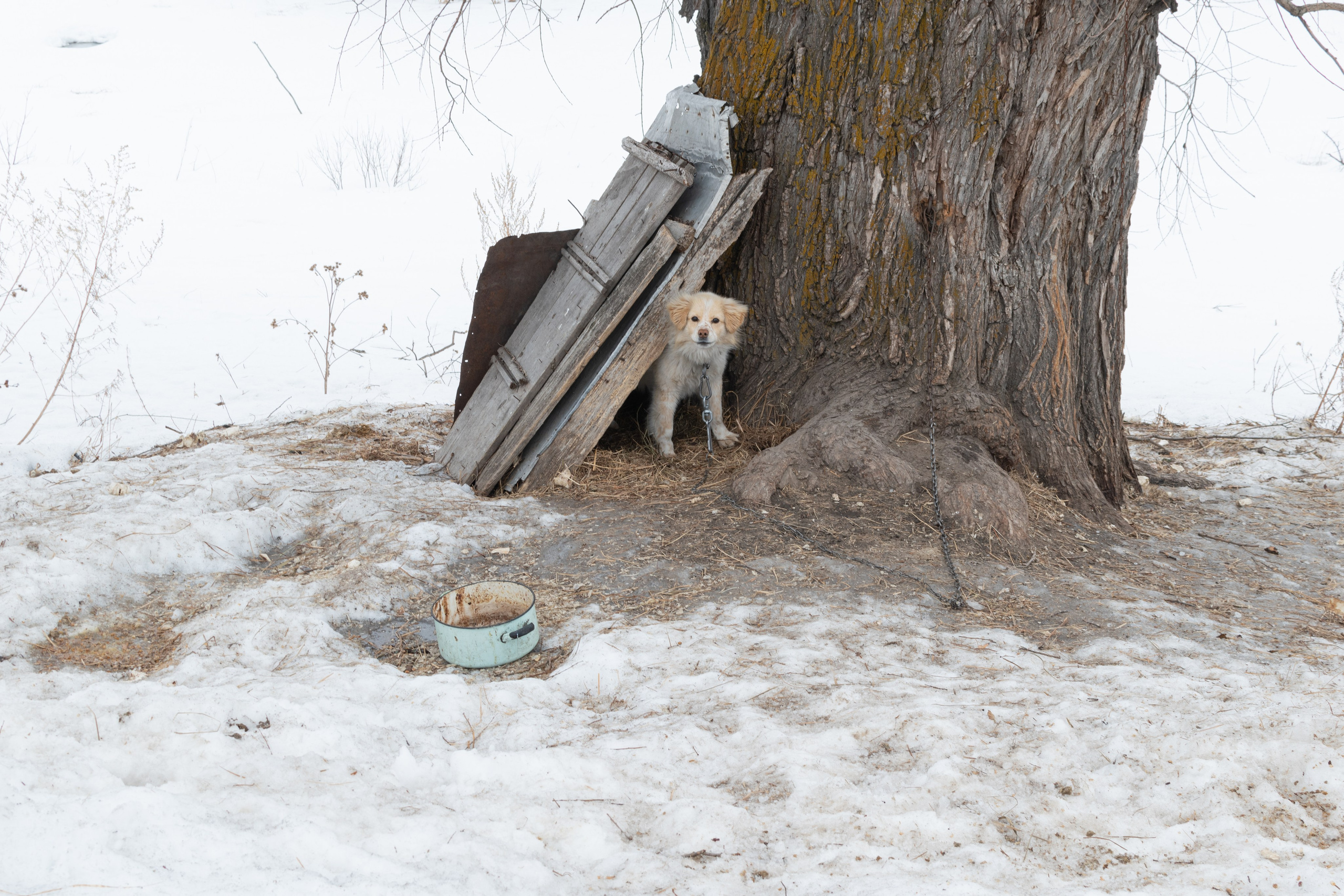 Здесь песни больше не слышны. Katya Medvedeva
