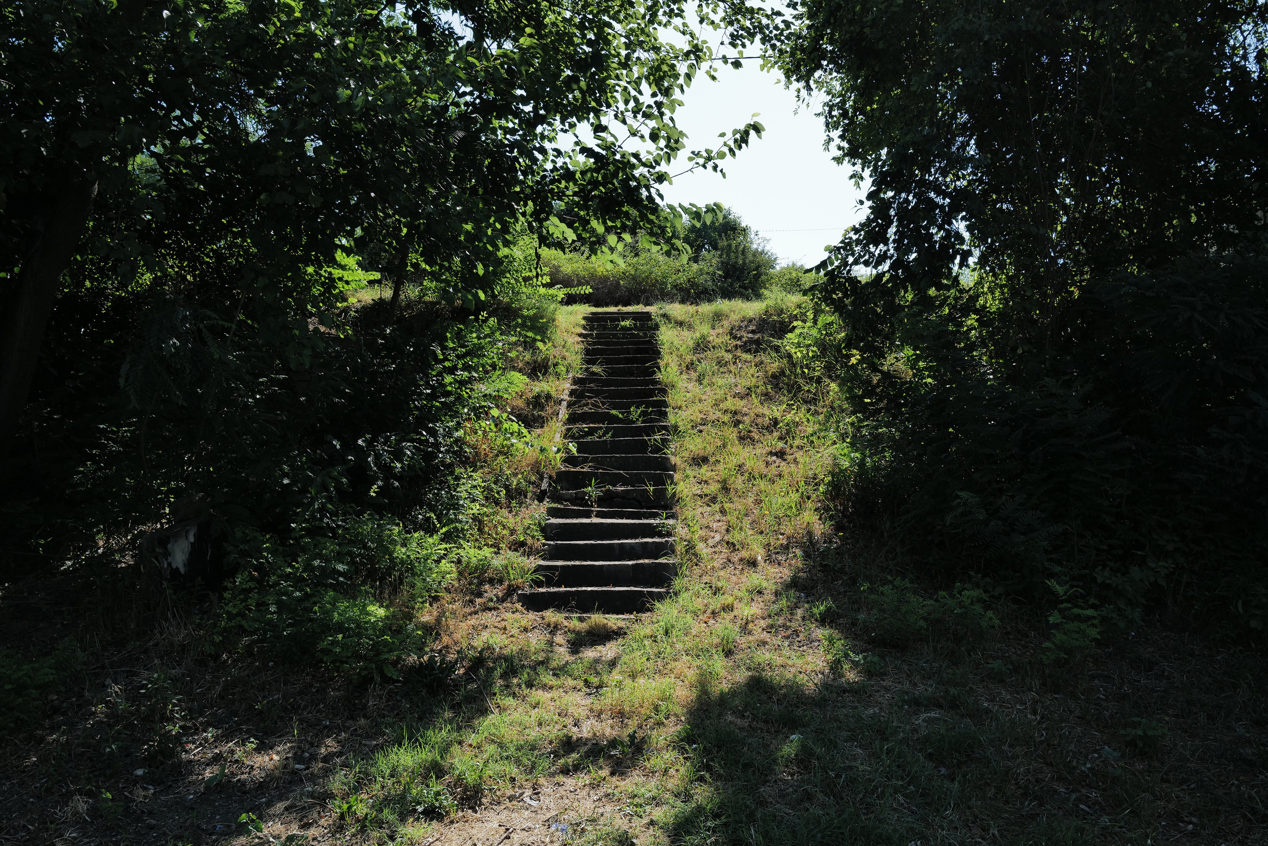 Кристина Разумова — О муравьях и улитке (пустая раковина, в которой утонули муравьи в капле морской воды)