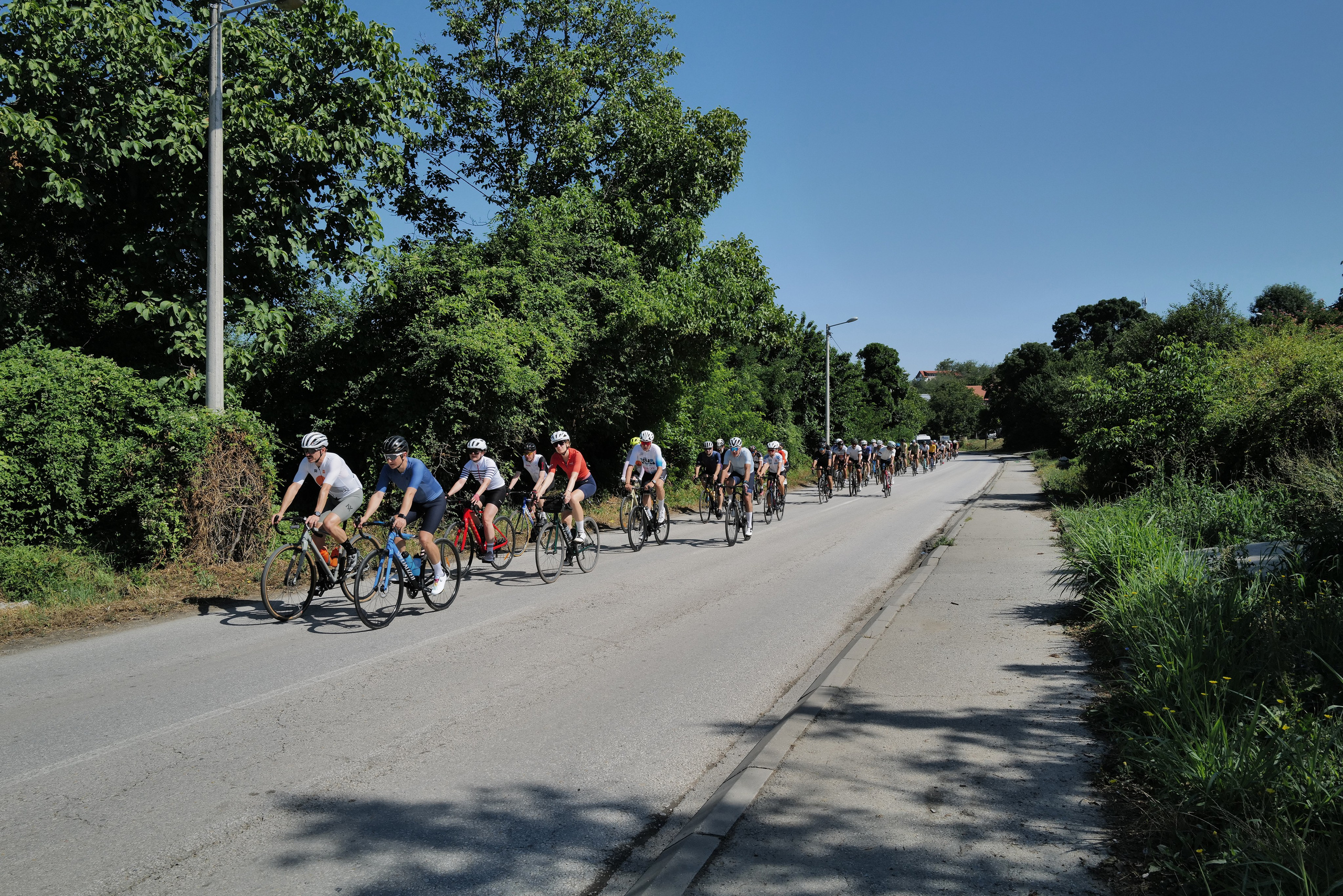 Кристина Разумова — О муравьях и улитке (пустая раковина, в которой утонули муравьи в капле морской воды)