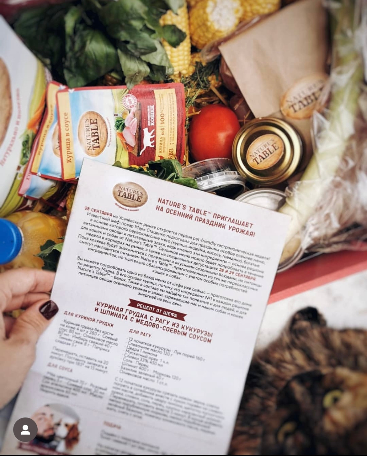 Фуд-фотограф и SMM в Москве