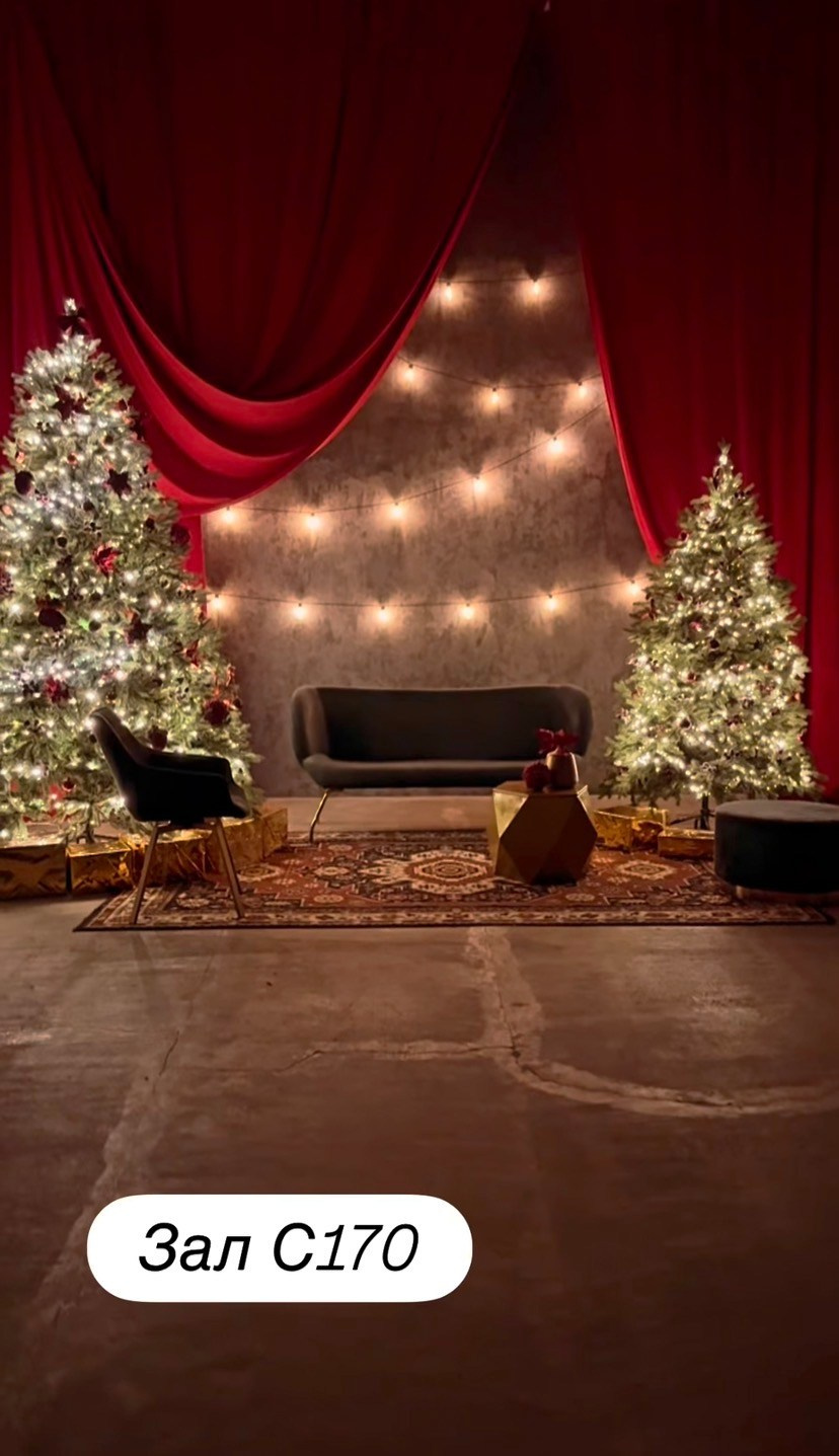 Актуальные новогодние фотостудии. Мила Астахова