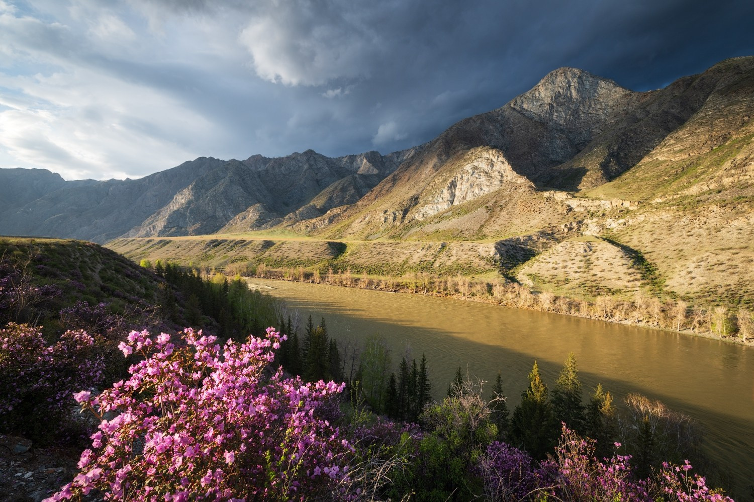 Групповые фототуры по Алтаю. Профессиональный пейзажный фотограф Алёна Рубан