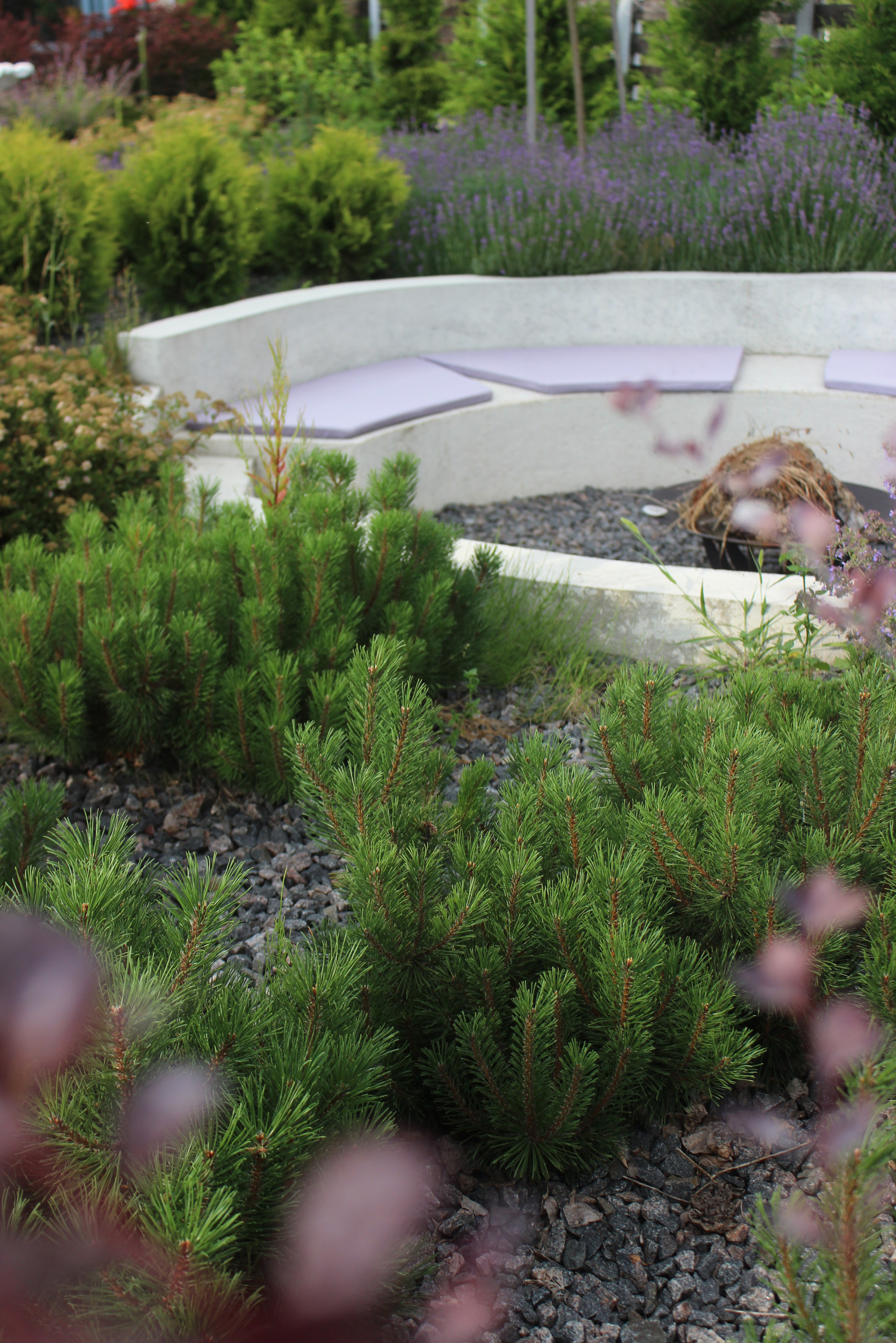 LA. Ландшафтный дизайн в Минске и Гродно