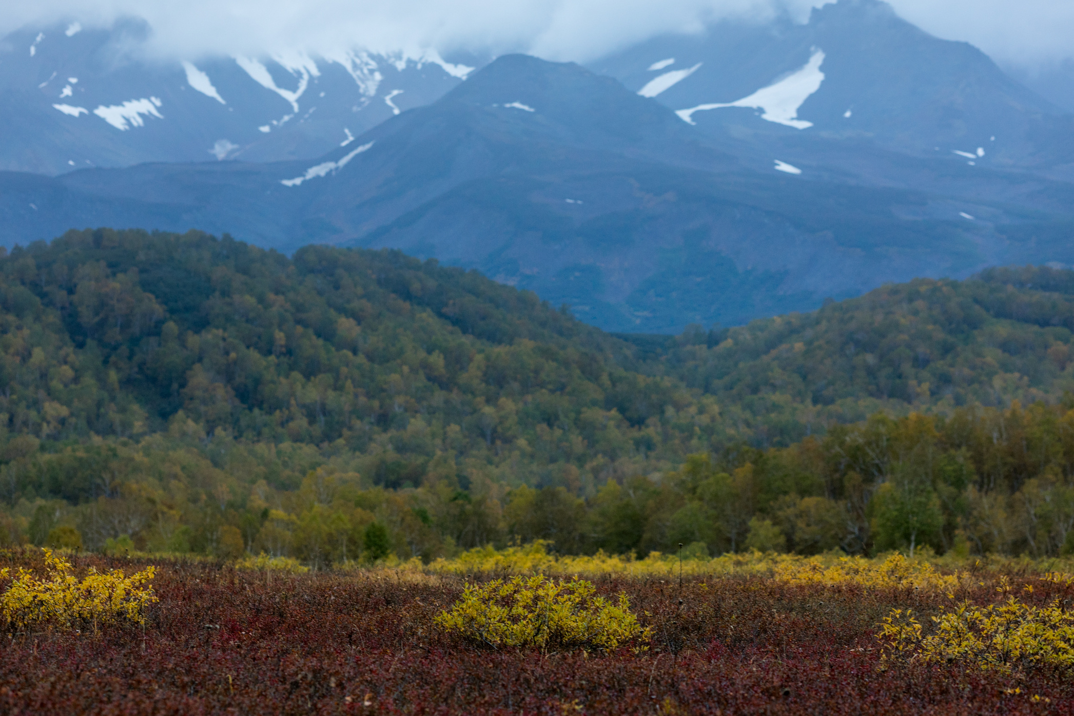 Твоя Земля. Твоя Камчатка. Гуров Олег — фотограф в путешествие