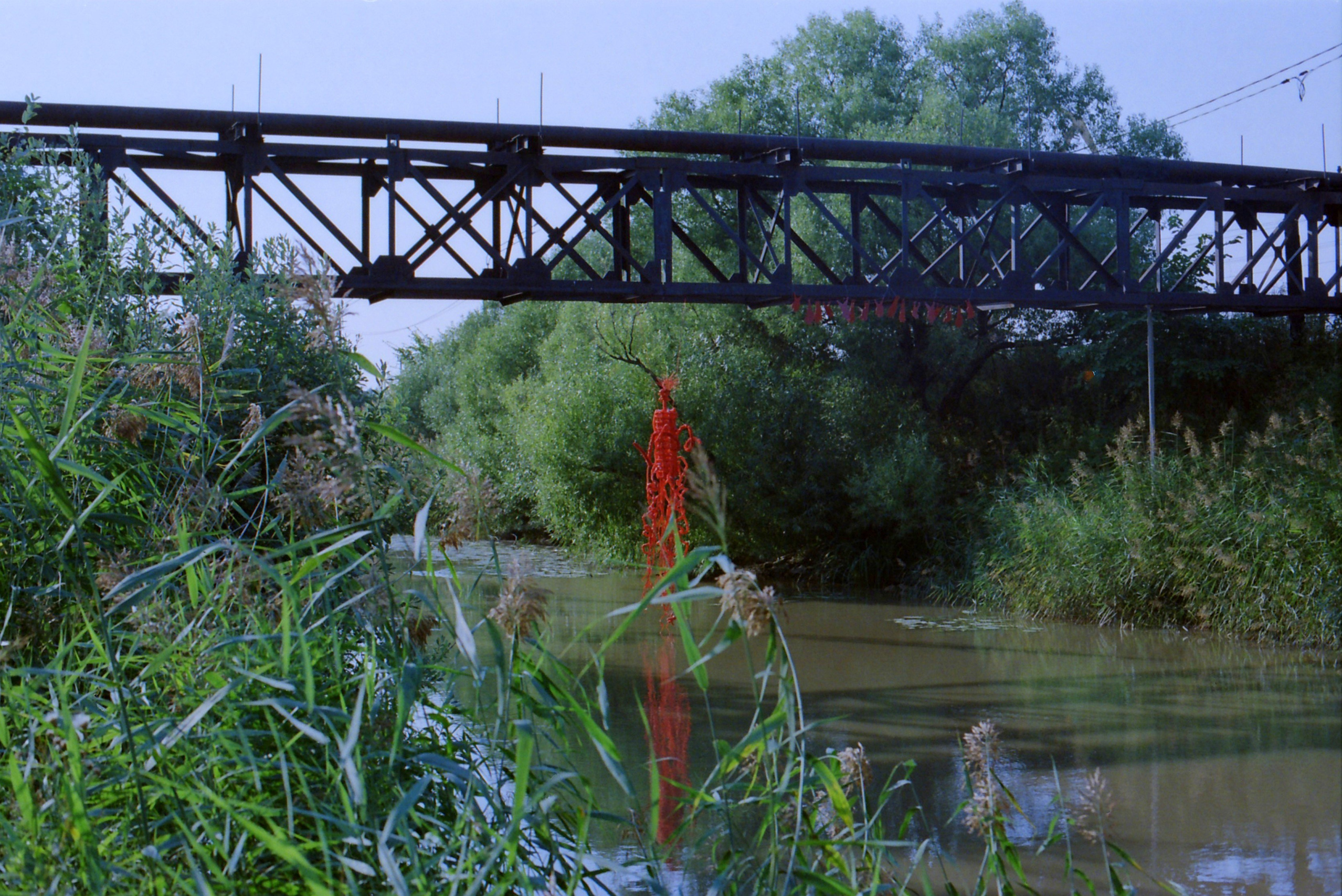 Красненькая биеннале 2025