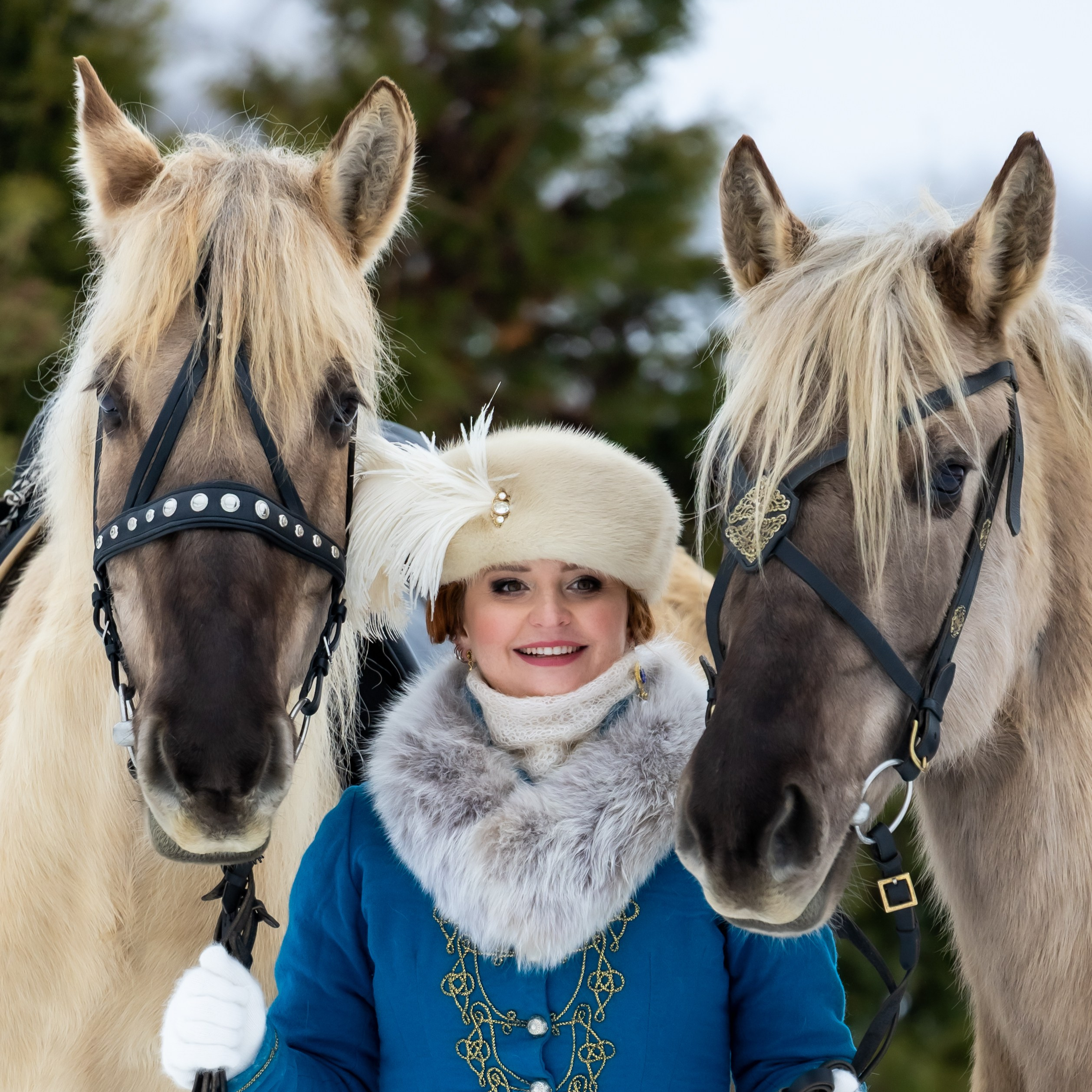 Стоимость моих услуг. Конный фотограф в Москве Светлана Богначева