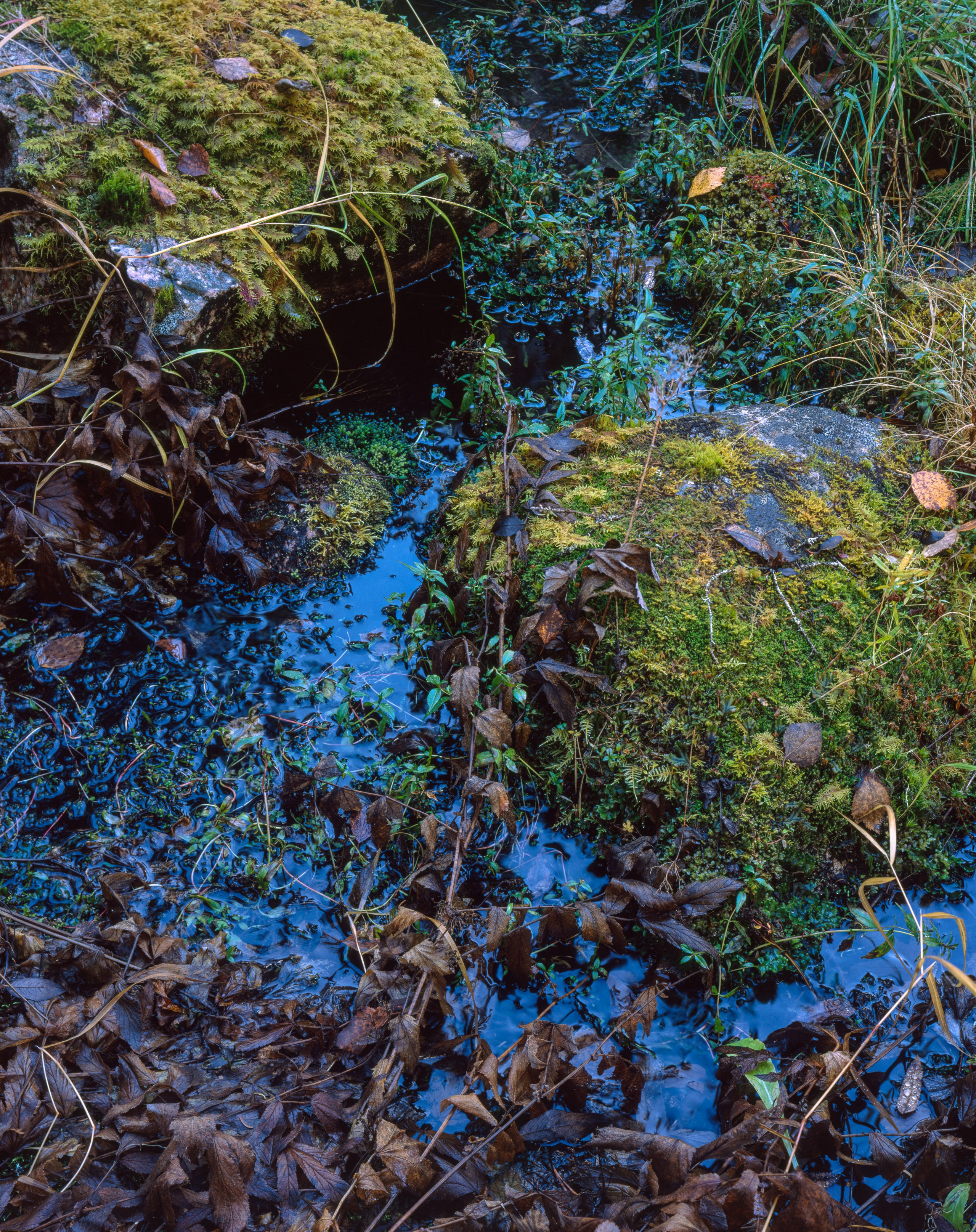 A remarkable day. Northern Nights