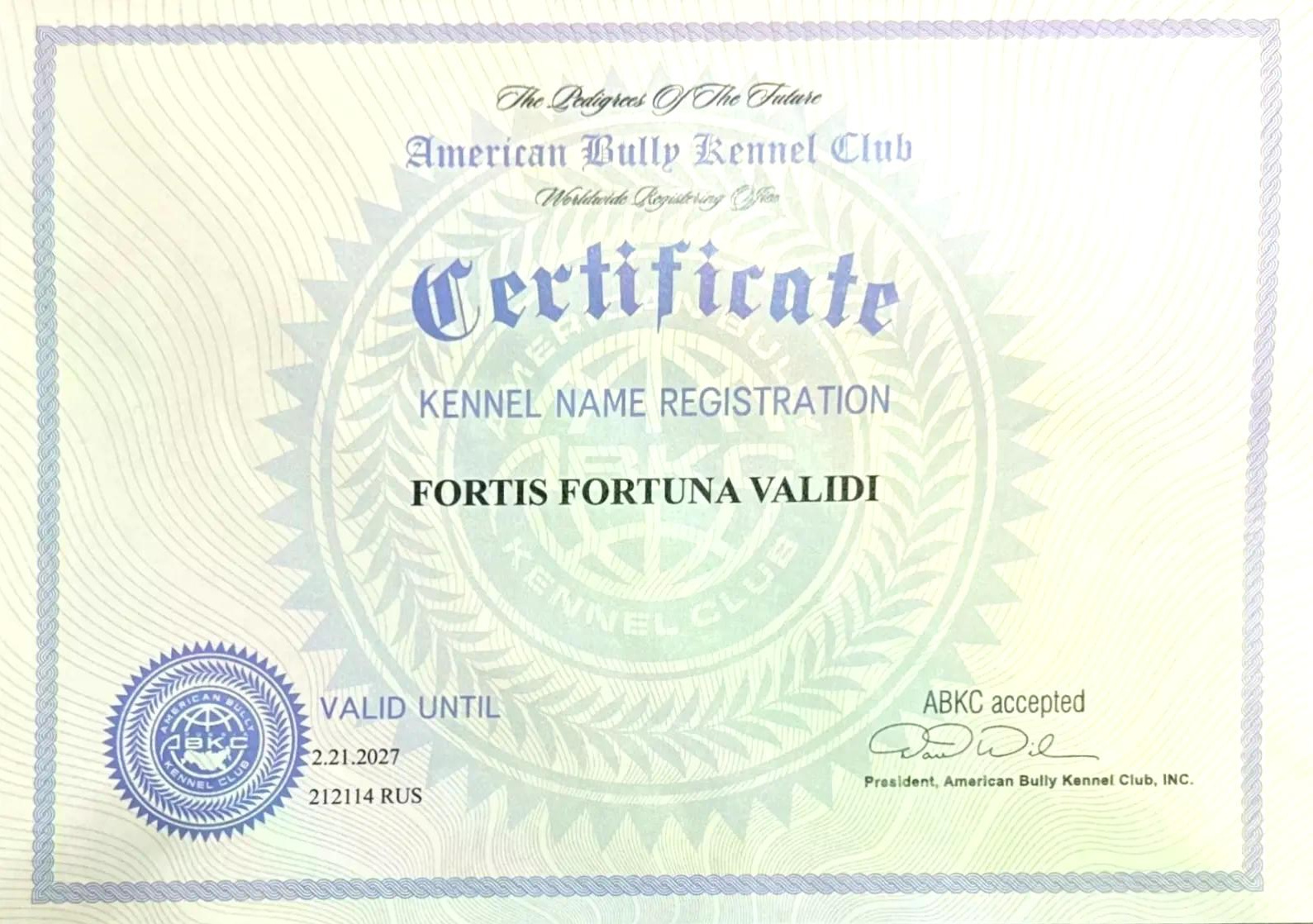 ПИТОМНИК СОБАК ПОРОДЫ АМЕРИКАНСКИЙ БУЛЛИ