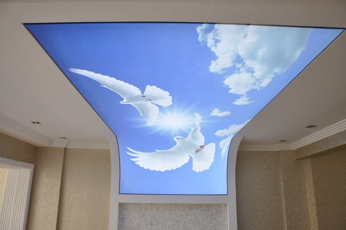 Эксклюзивные. Портфолио