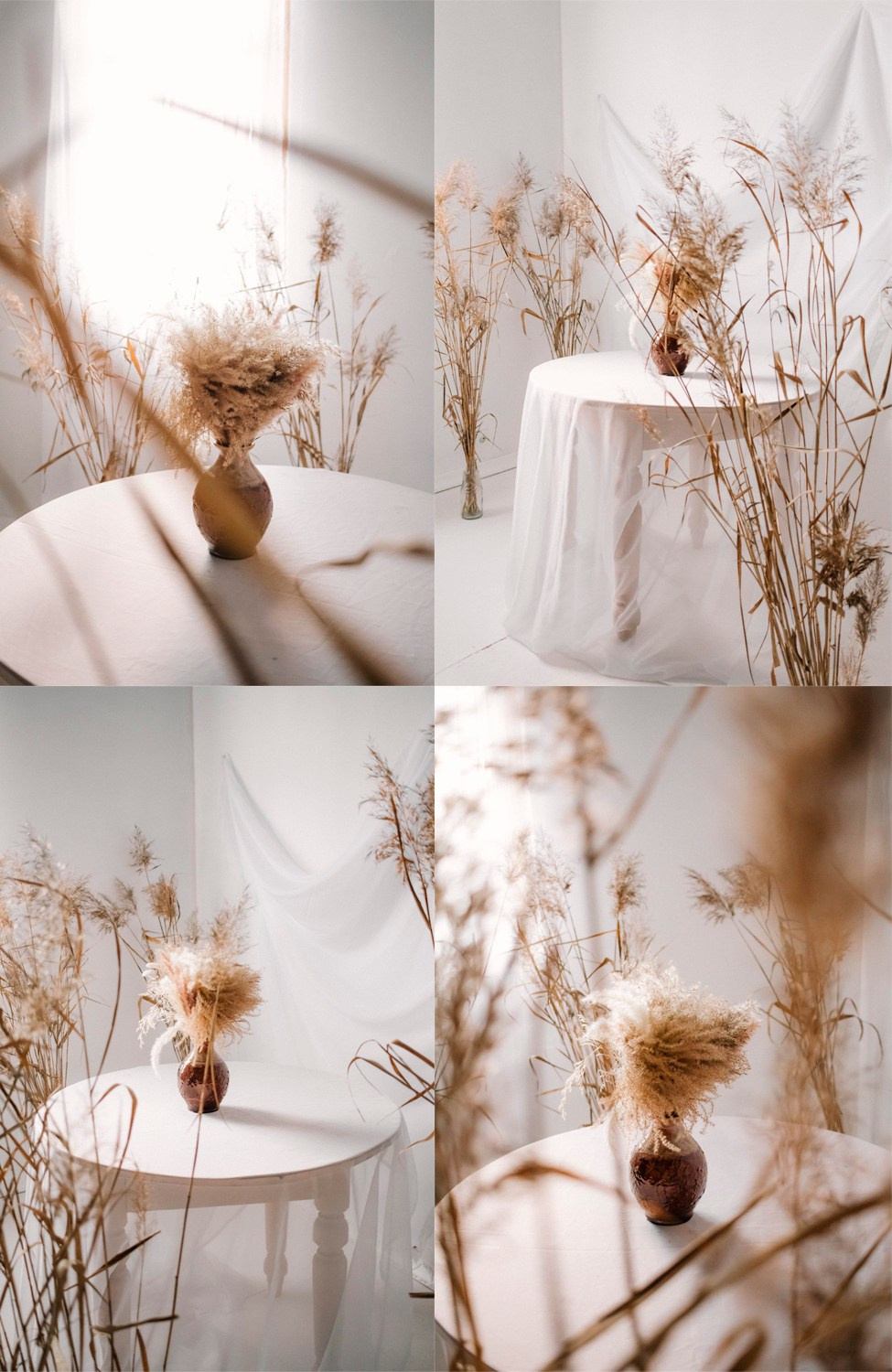 Студия с сухоцветами в городе Туринске : фотографии на белом фоне.