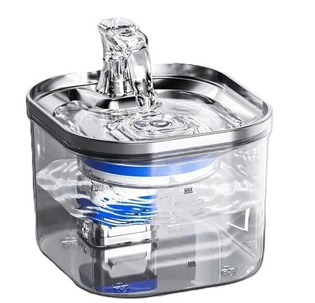 Котёнок американской бурмы. Las Burmas — питомник американской бурмы традиционных линий