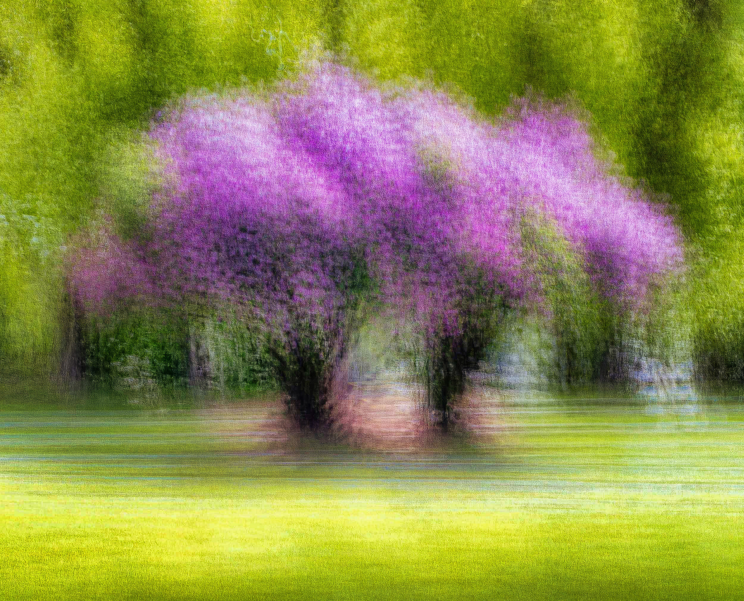 Сайт московского фотографа Дениса Иванова