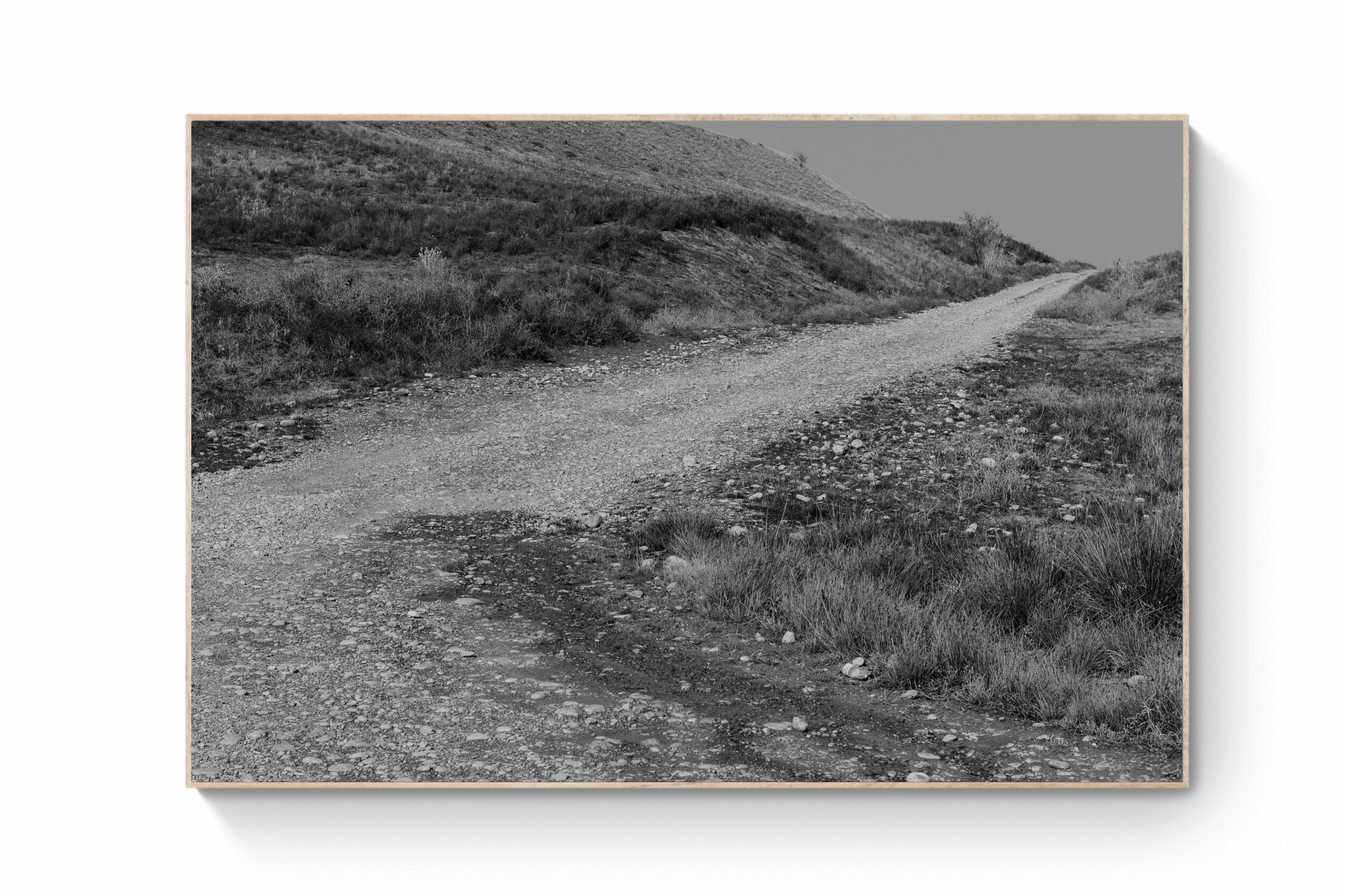 Prints. Kristina Sergeeva