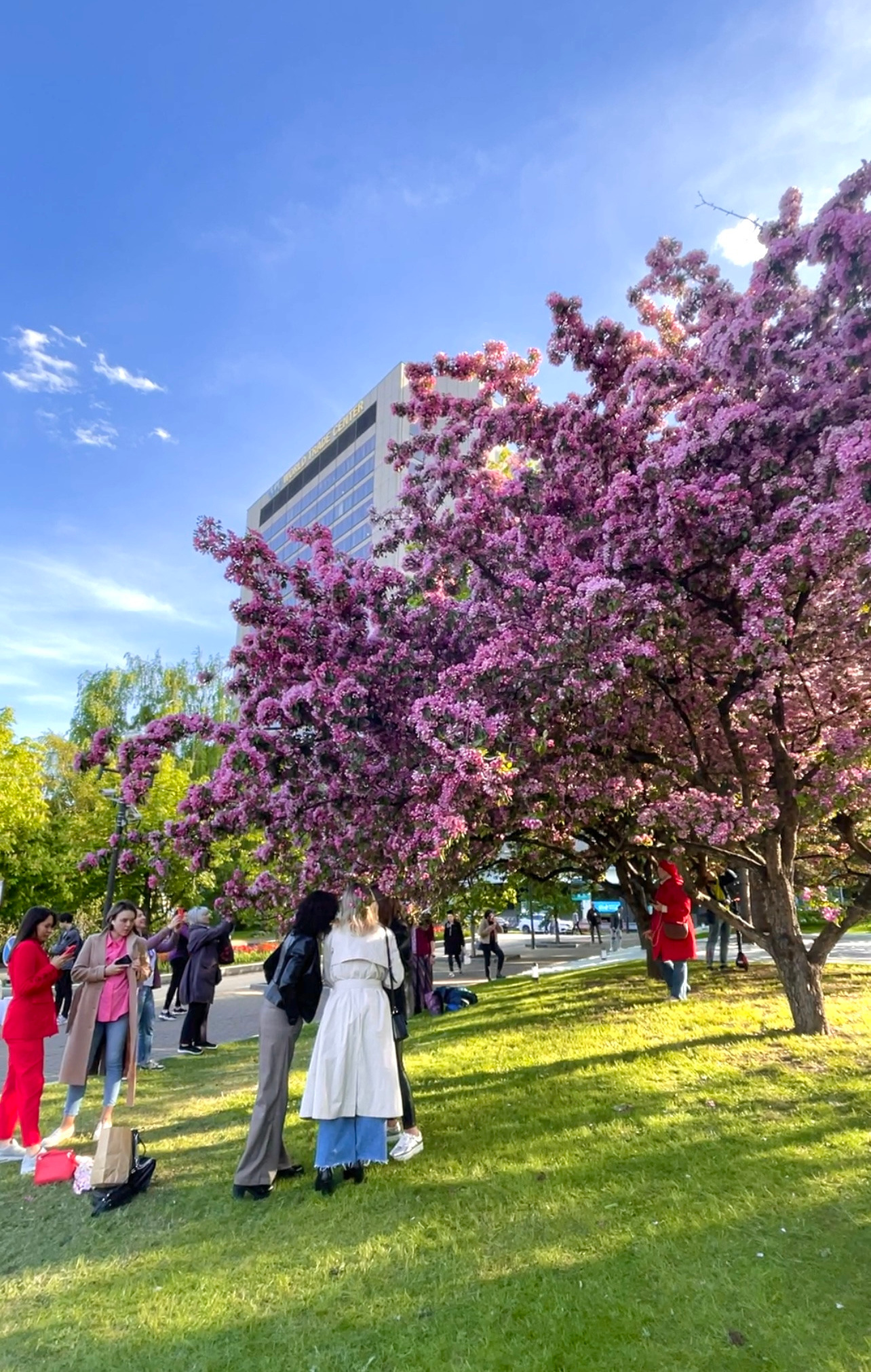 Адреса локаций. Женский и семейный фотограф Светлана