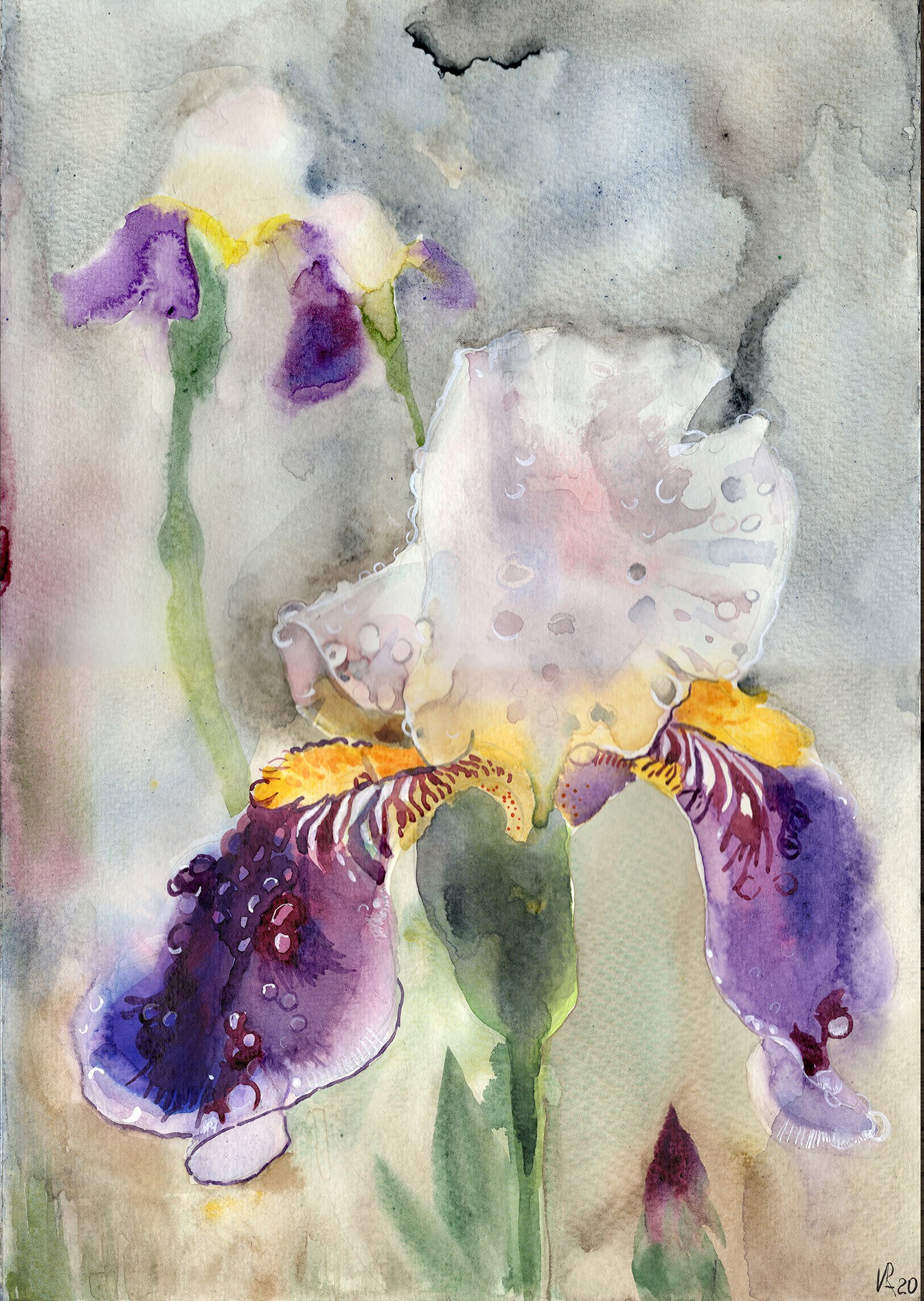 Картина с ирисом