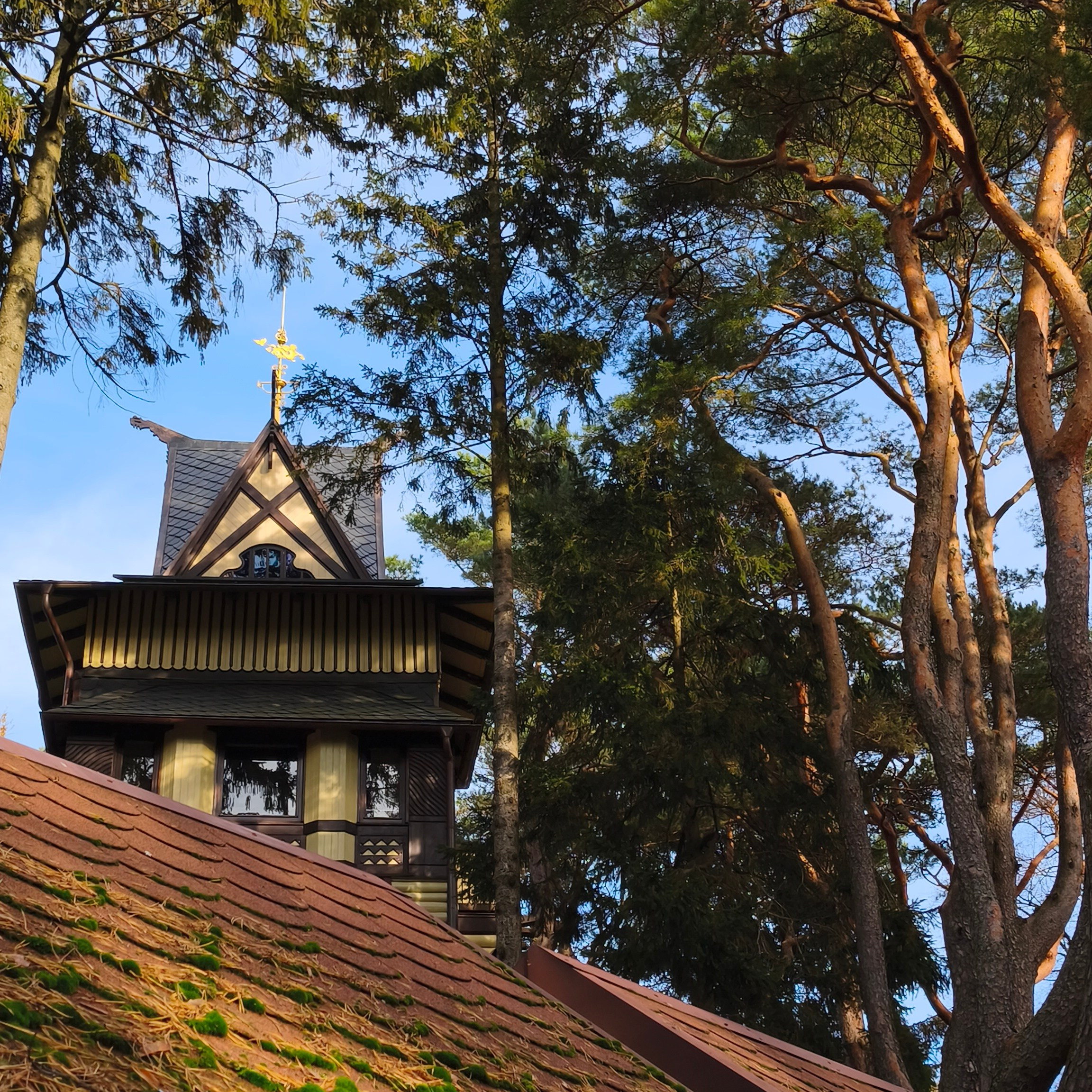 Как гражданину Беларуси купить квартиру в Калининградской области. Анастасия Пушкарева Rauschen