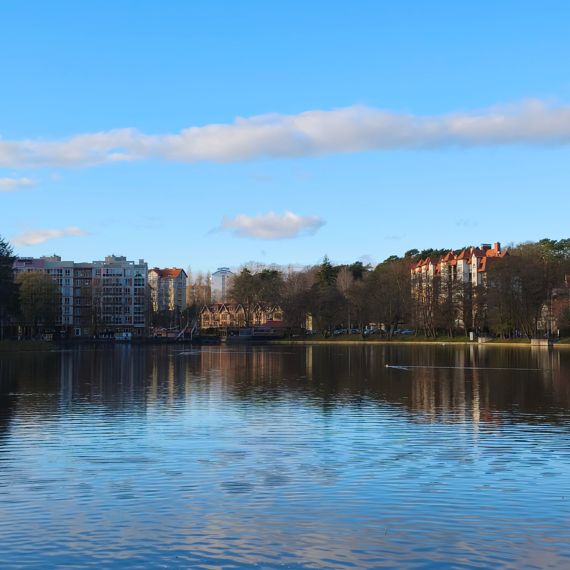 Как гражданину Беларуси купить квартиру в Калининградской области. Анастасия Пушкарева Rauschen