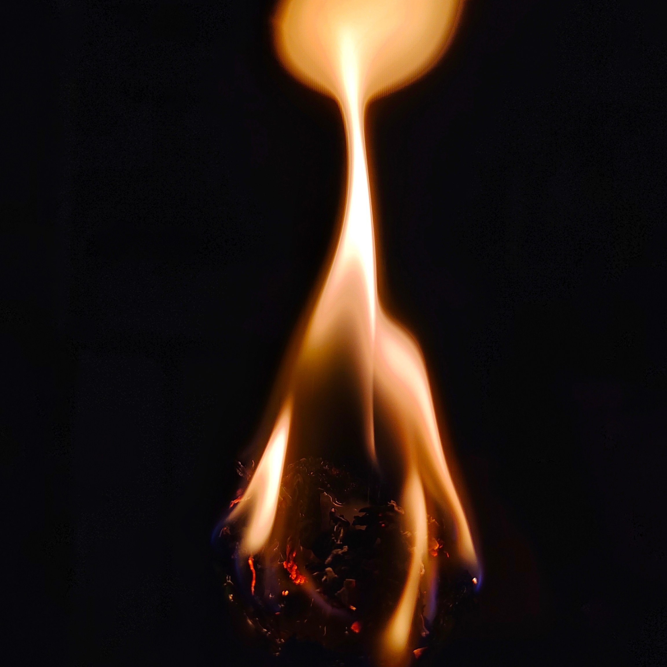 Мобильный фотограф|Визуал|Контент Москва Елена Молнар