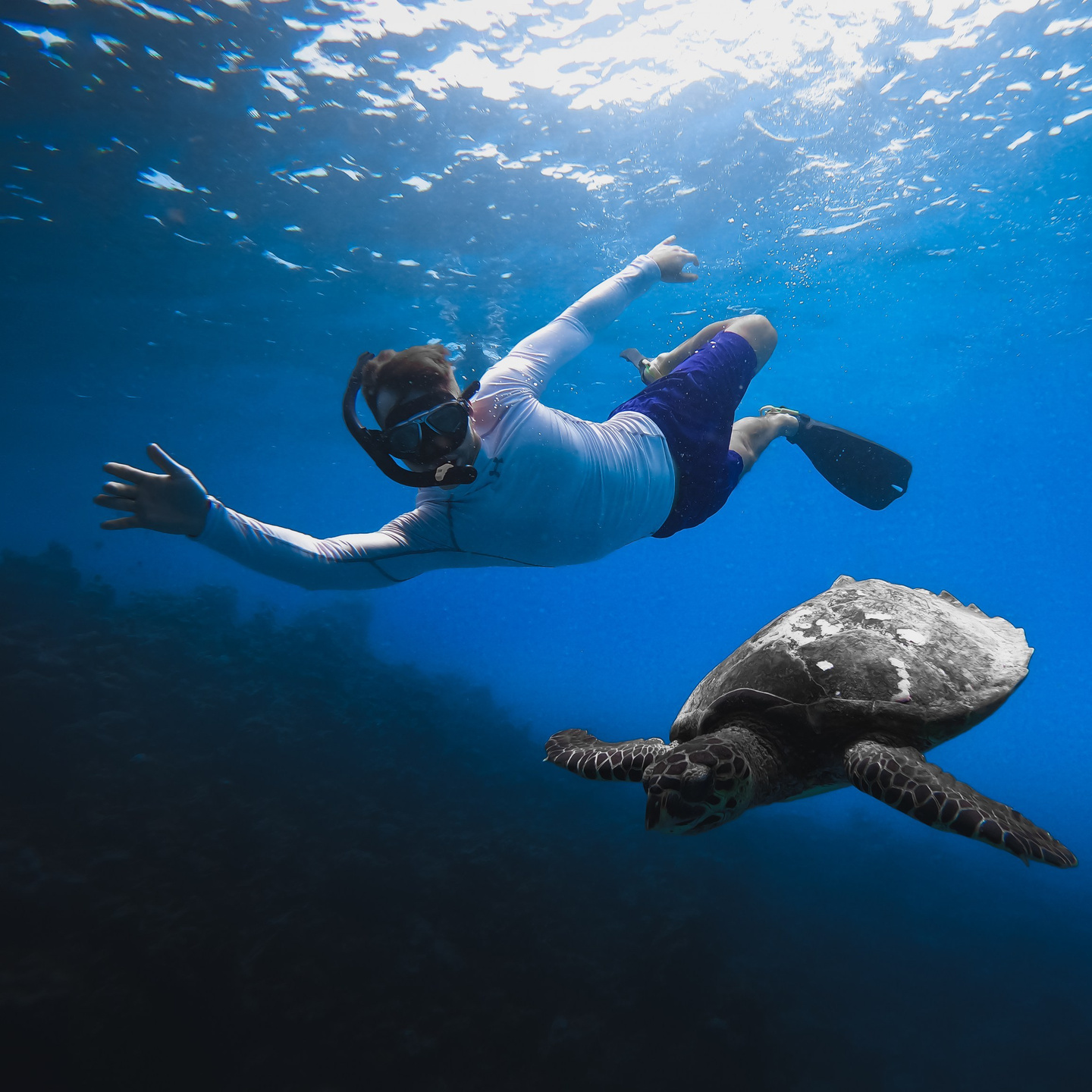 Экскурсии на острова, резорты и подводные