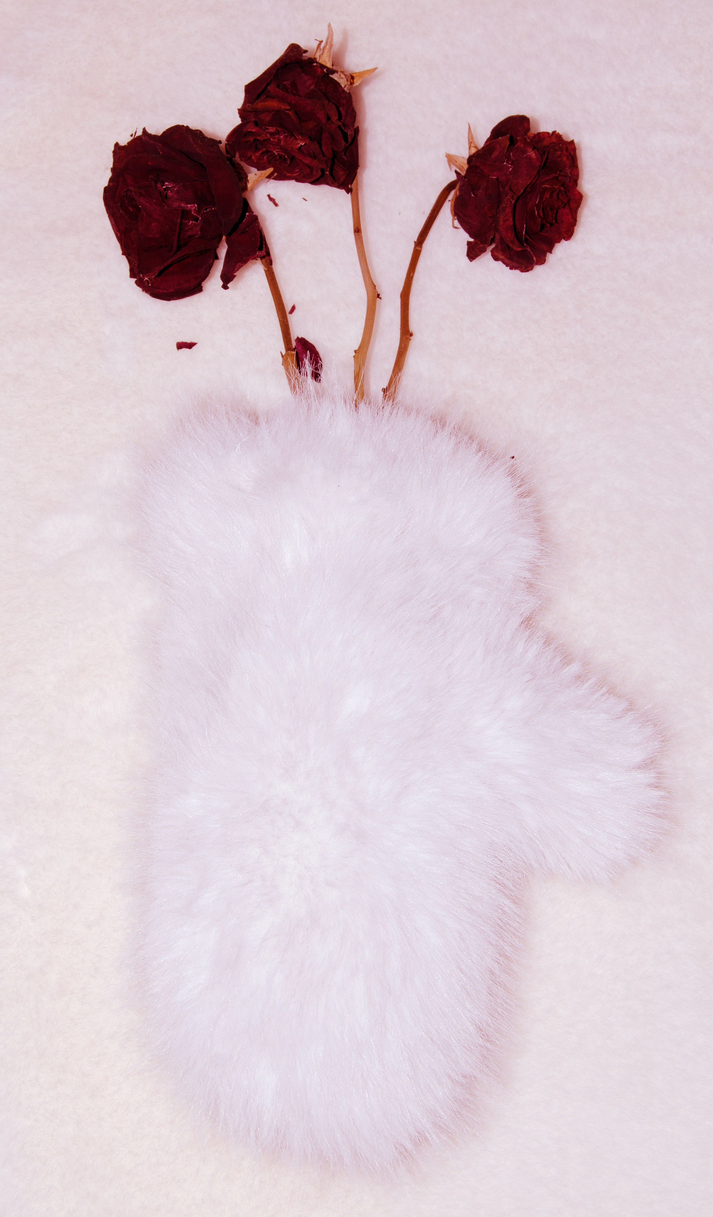 art, artist, photo, photography, photographer, contemporary art, talent, picture, pop art, gallery, фотограф, фотография, творчество, художник, рекламная съемка, творческая съемка, современное искусство, соврисск, совриск, современная фотография, творческая фотография, картины, попарт, поп арт, фото проекты, photo project, bag, сумка, cover song, обложка для музыкального альбома, обложка для книги, постер, картина