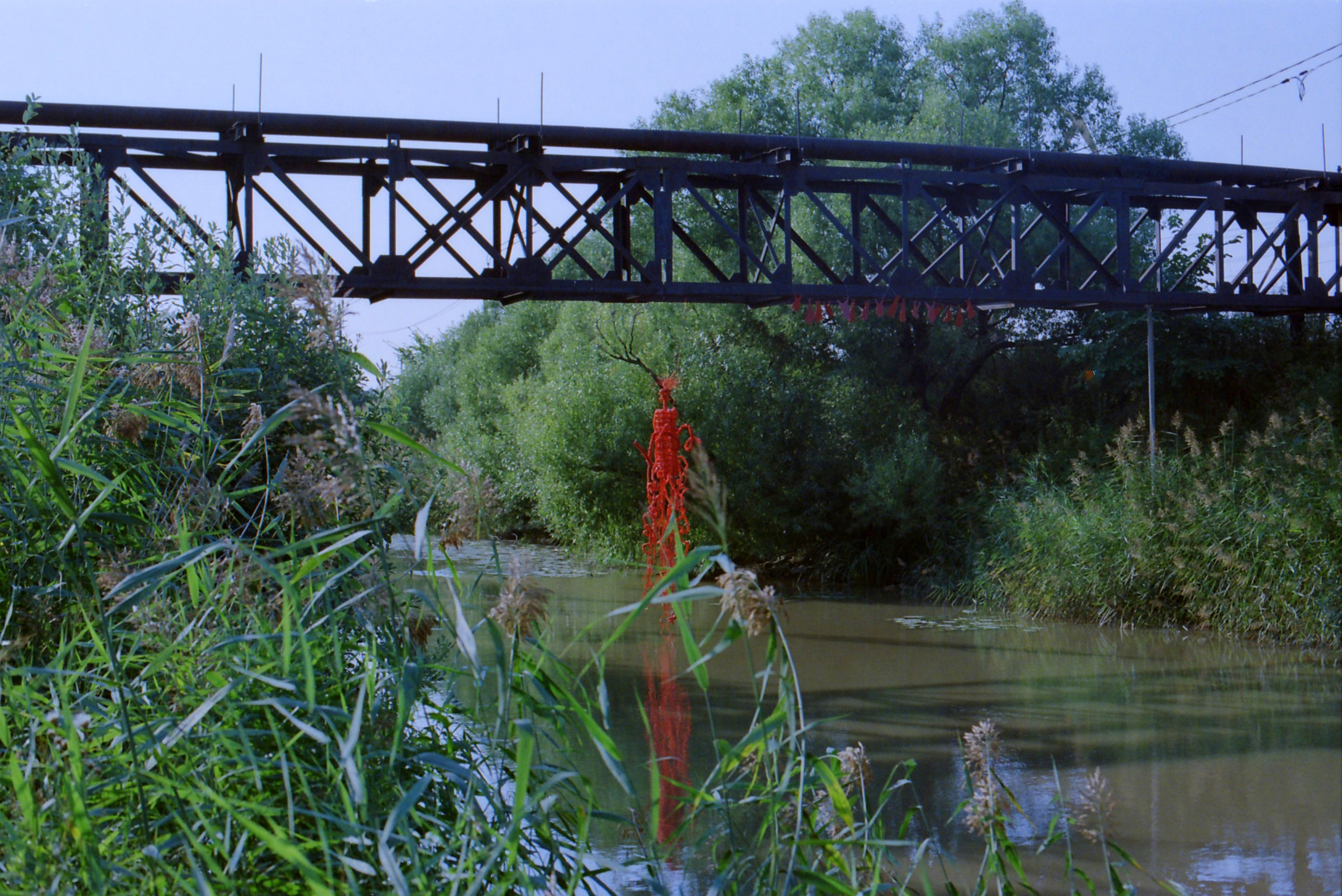 Красненькая антибиеннале 2022 (СПБ)