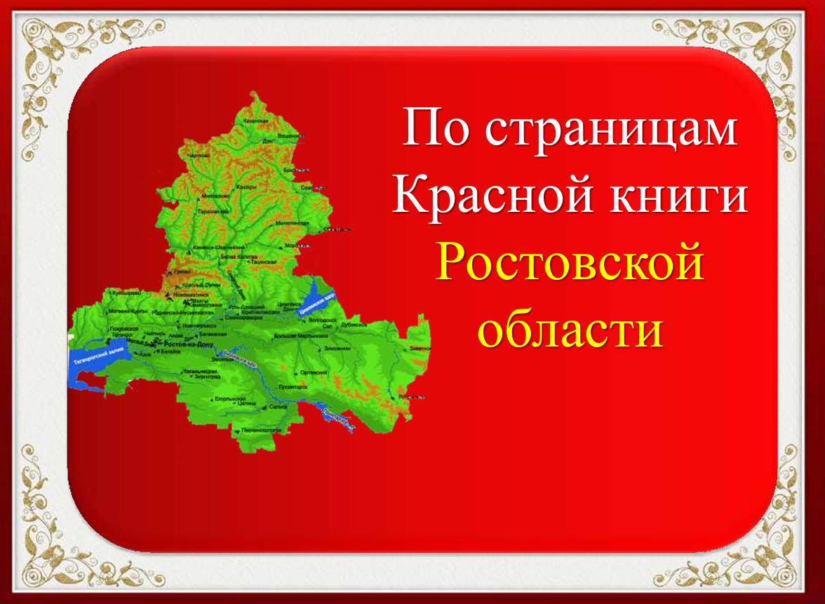 Проект «Шагай со мной». АНО «Центра социальных проектов «Путь в большой мир»