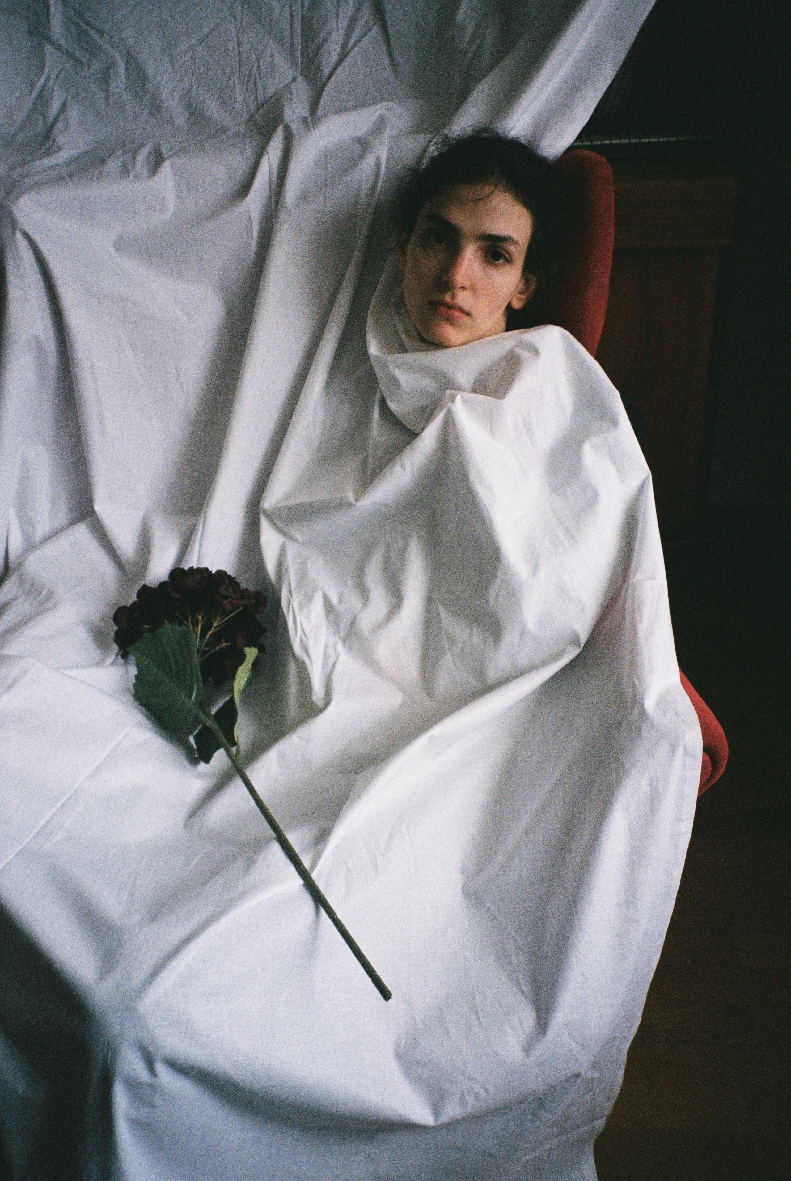 Nik Paustovskiy photography